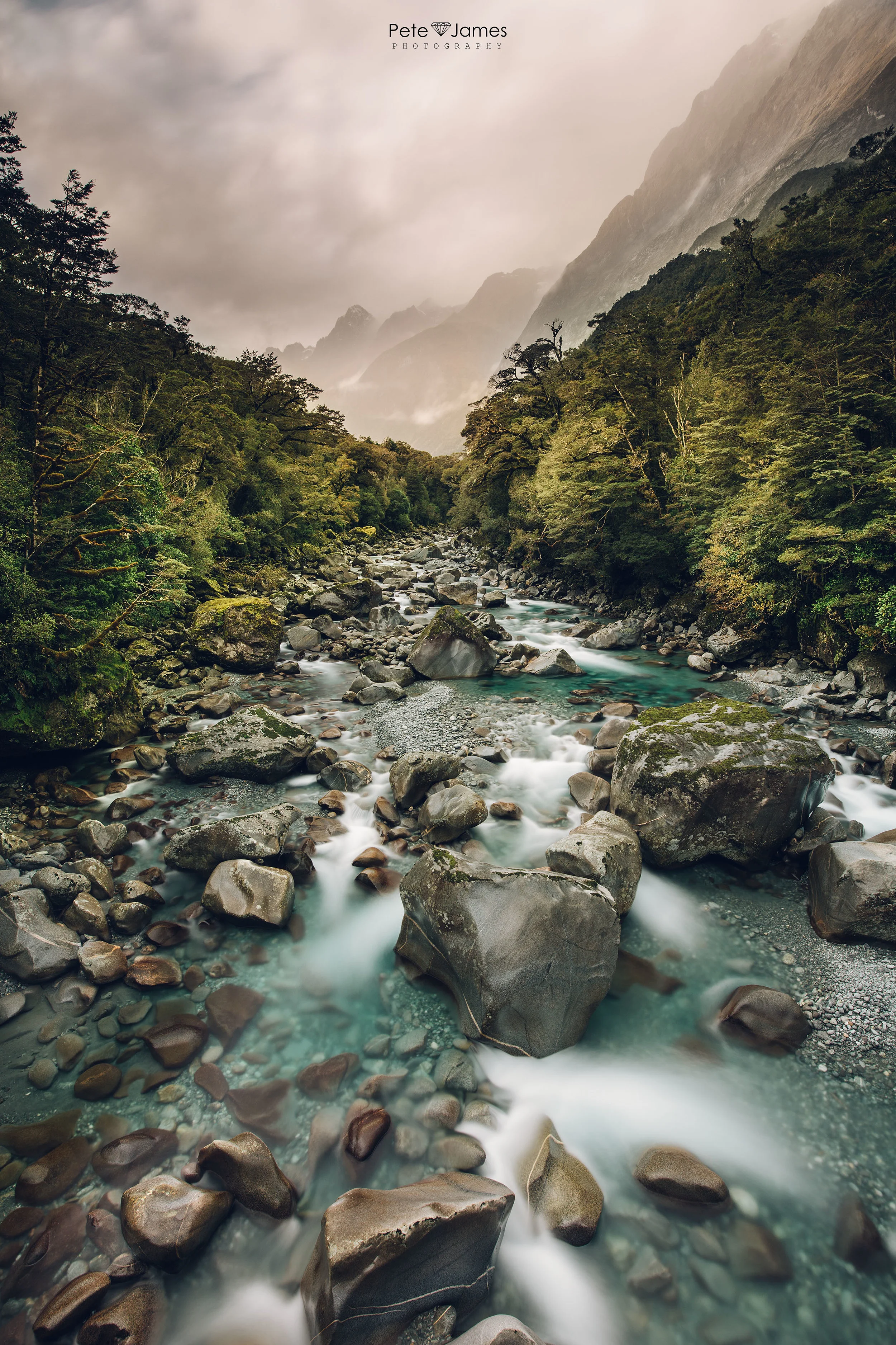 _Q7A4572-Edit.jpg