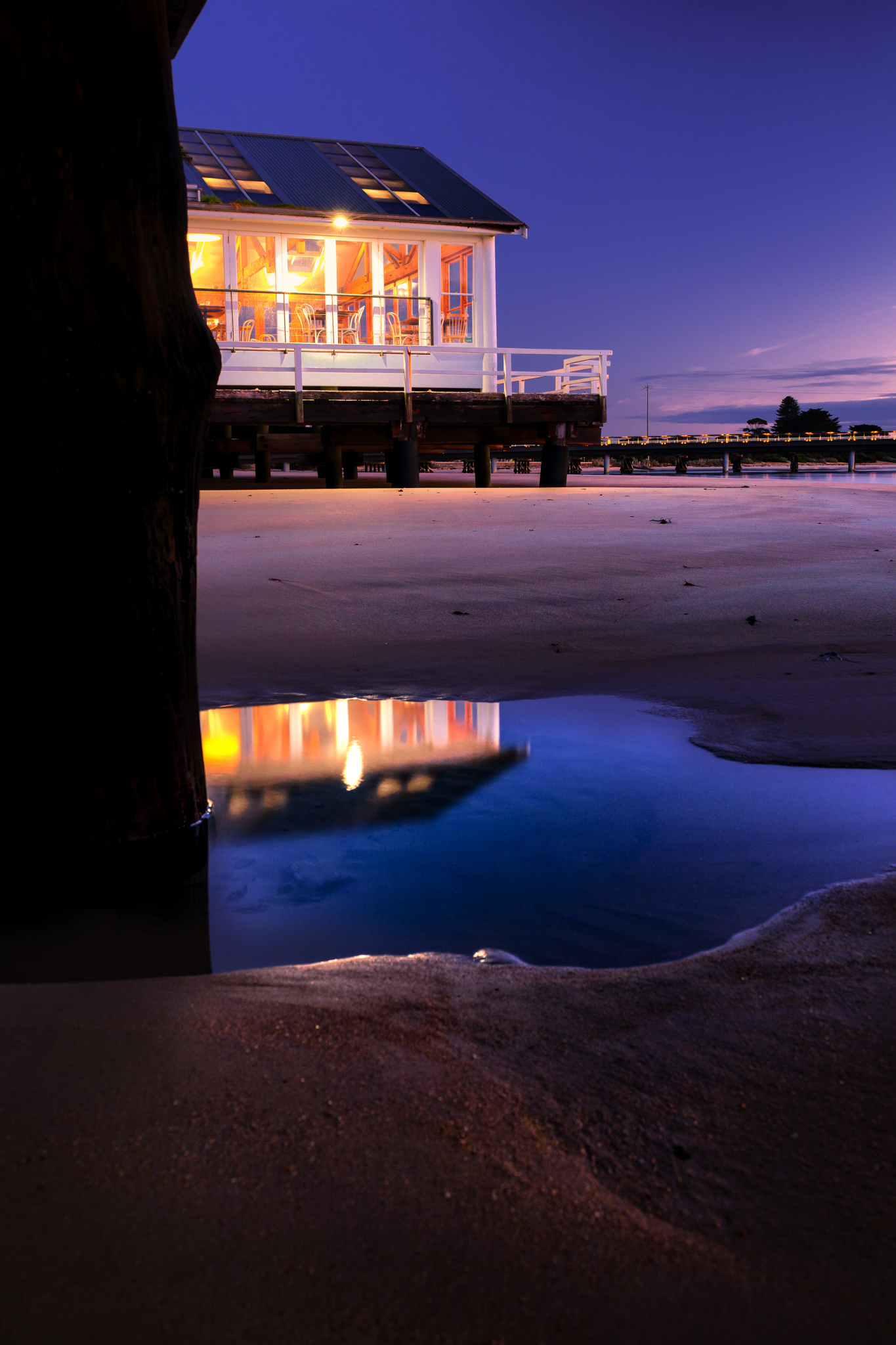 _51A9181-Edit.jpg