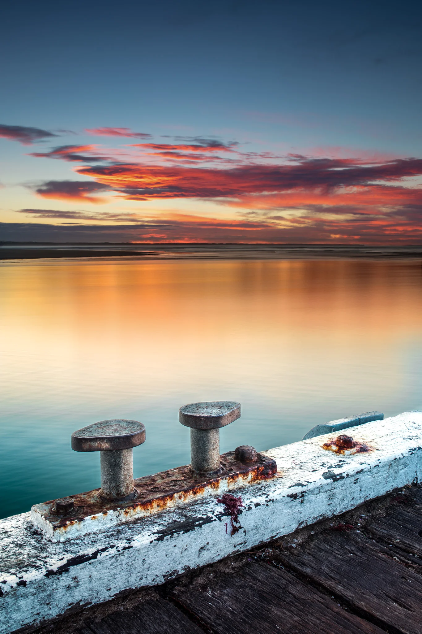 _51A9194-Edit-Edit-Edit-Edit.jpg