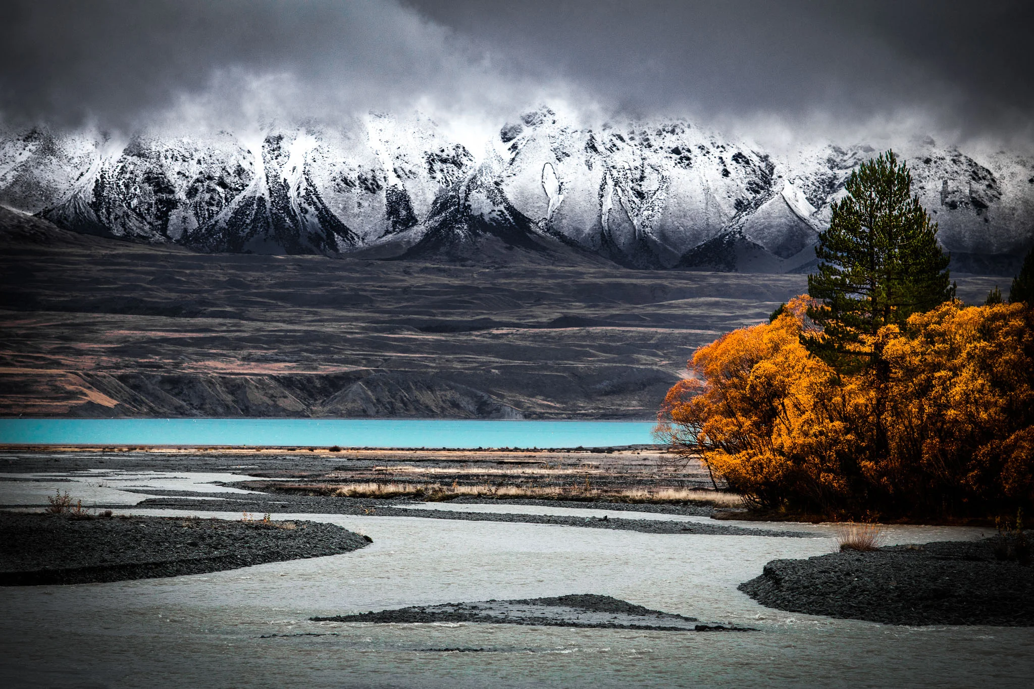 _51A7886-Edit-Edit.jpg
