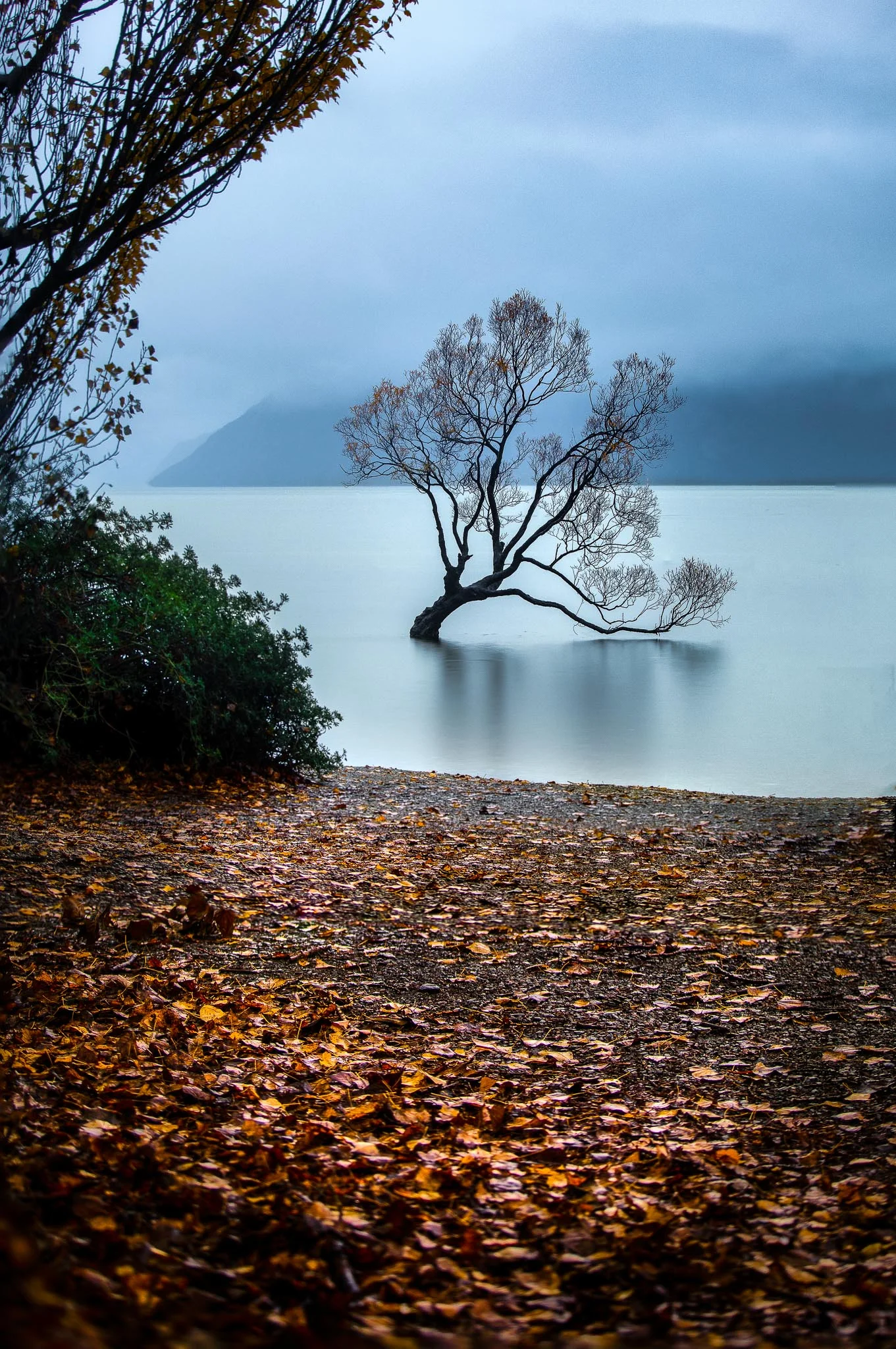_51A7847-Edit-Edit-Edit.jpg