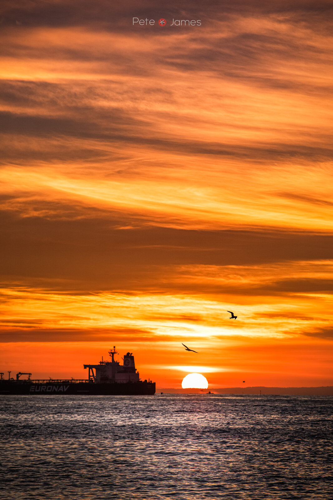 151A8347-Edit-Edit.jpg