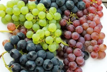 grapes.jpg