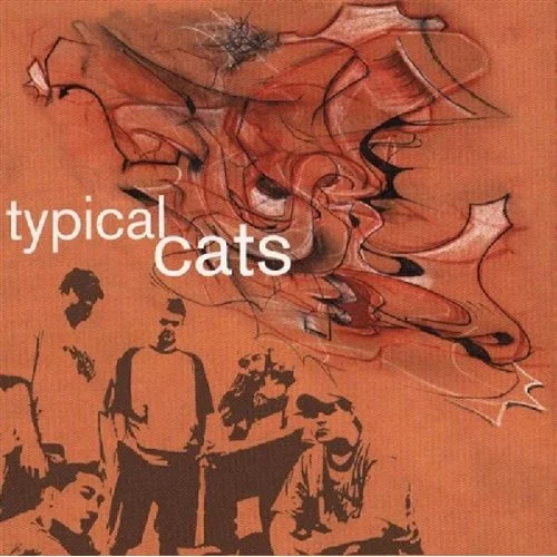 typical cats - typical cats
