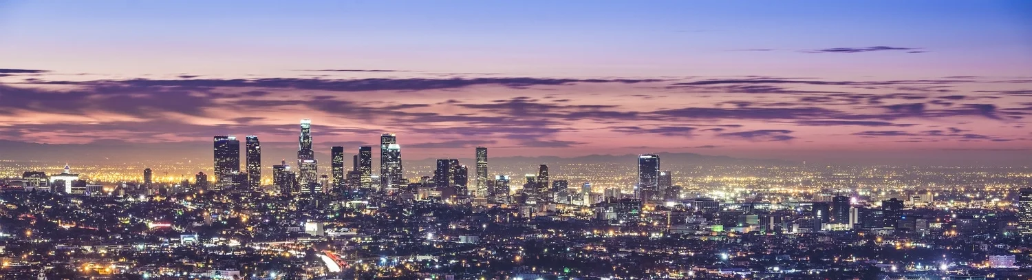 035194346 - downtown los angeles.jpeg