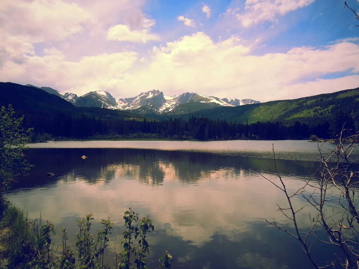 20140623_142229.jpg