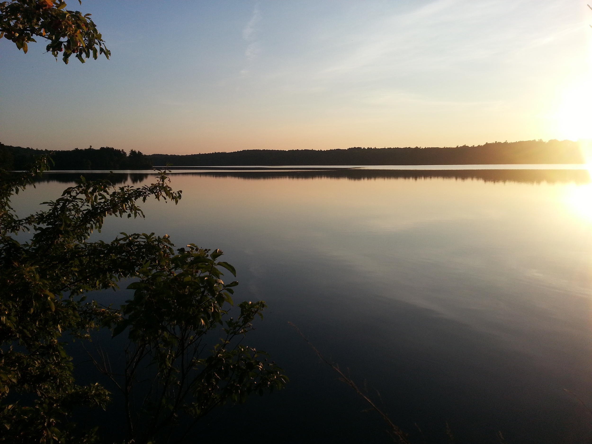 20140826_190324.jpg