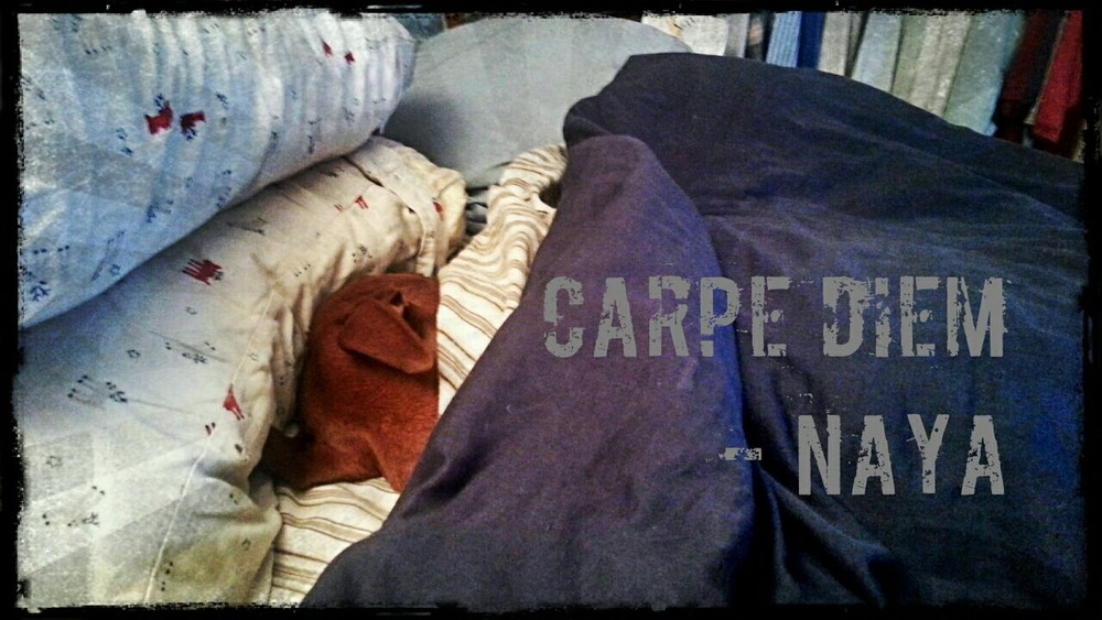   Carpe diem.    - Naya  