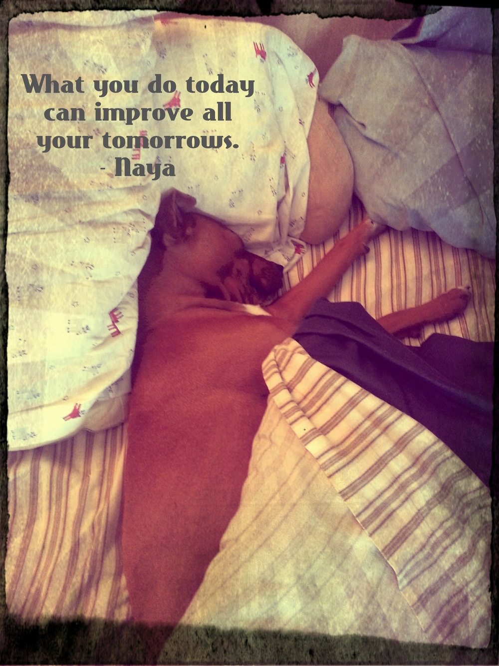   What you do today can improve all your tomorrows.    - Naya  