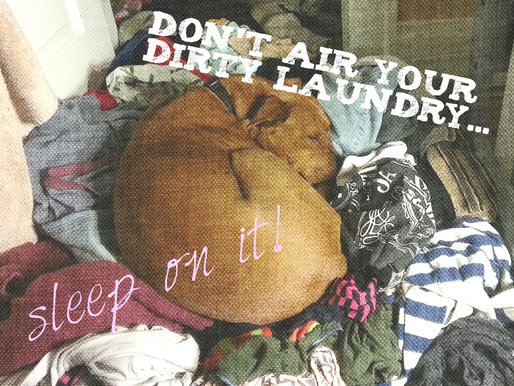   Don't air your dirty laundry...    sleep on it!    - Naya  