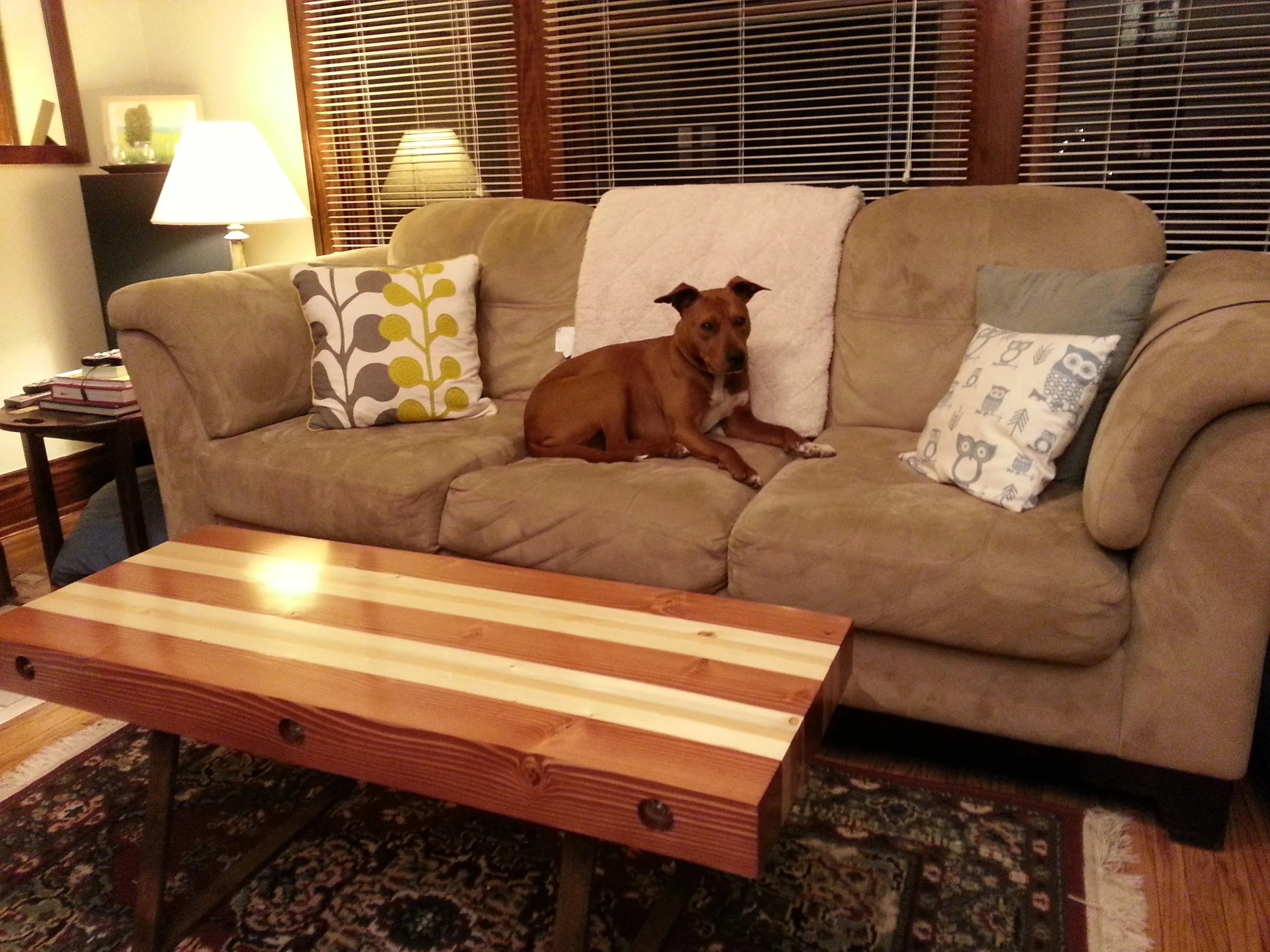 20160223_185922.jpg