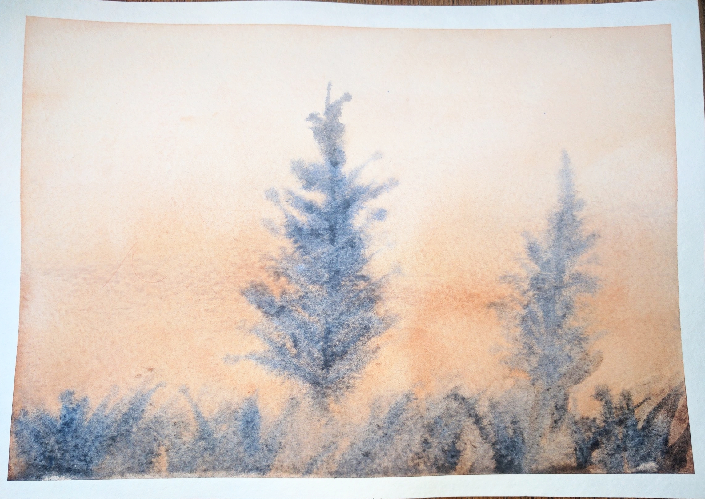  February, 2017  A third attempt at "Two Pines". &nbsp;The trees turned out softer, which I'm happy about, but I don't think it was my best attempt at grass in the foreground. 