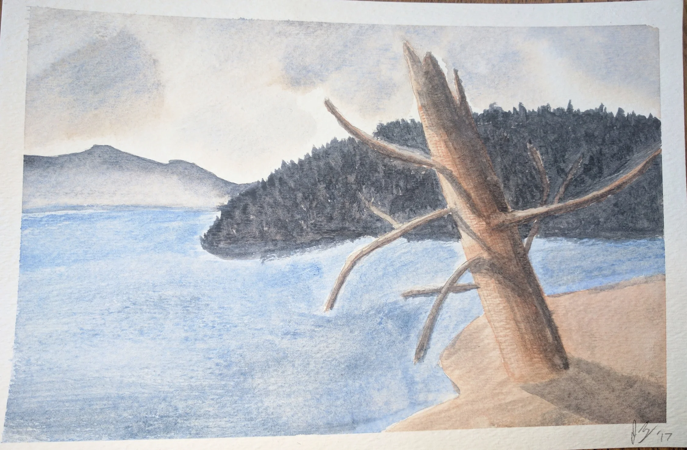 March, 2017 This was another painting I attempted based on an original in a watercolor tutorial book. I like the somber feel and muted tones in this one, and think the dead tree turned out halfway decent.