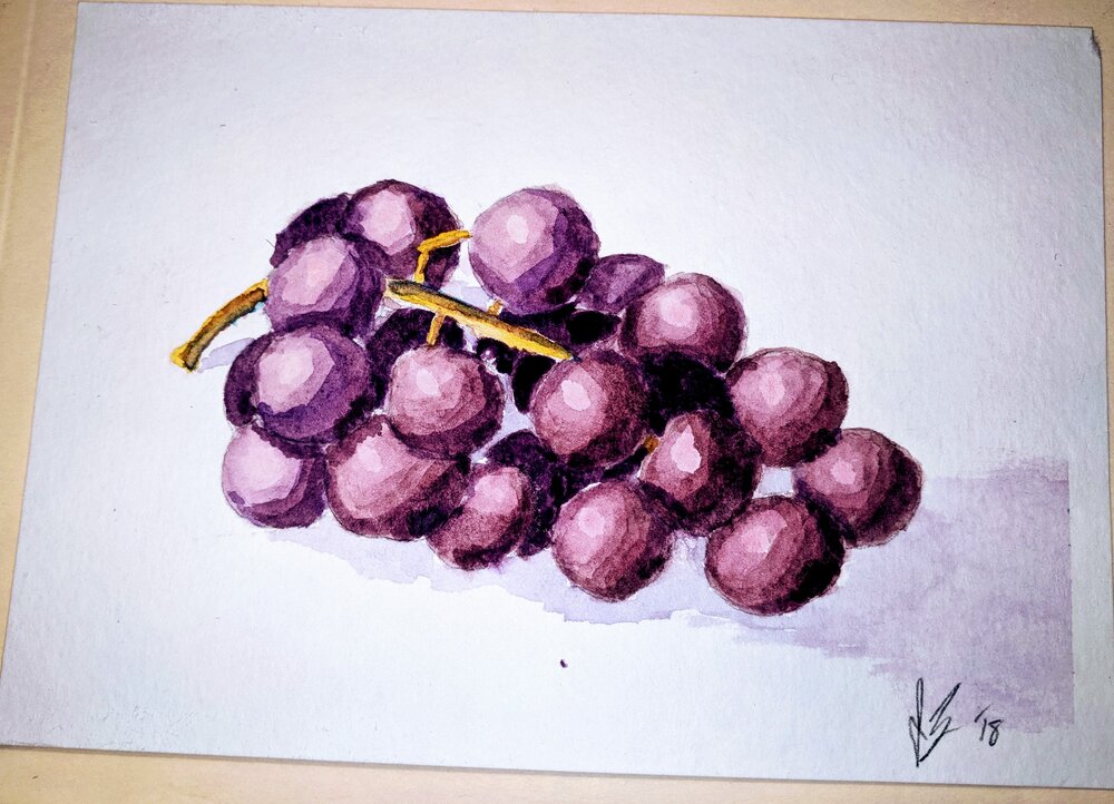  Still life of some grapes.  I was trying to work on shading and tone with this one.  I think I learned a lot from it actually, although it was pretty tedious. 