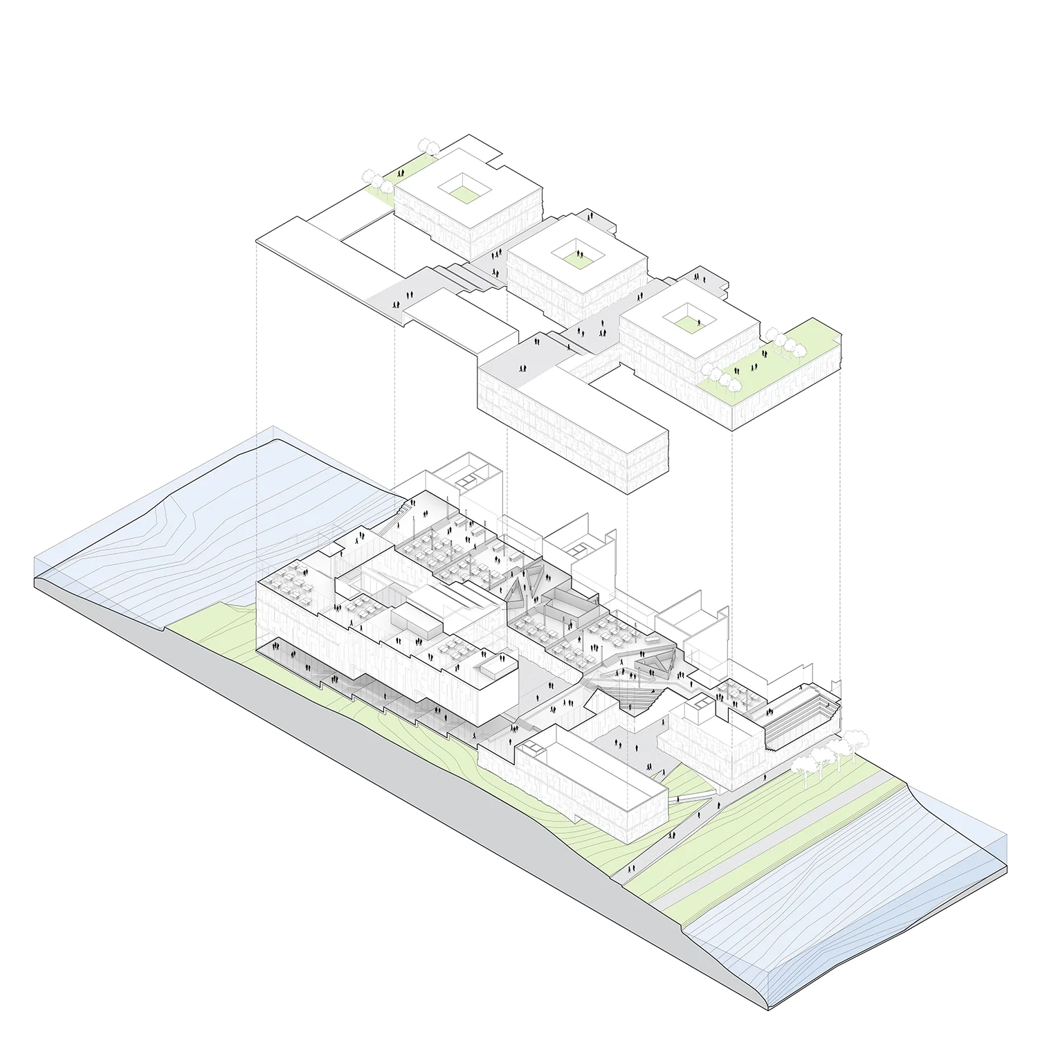 exploded path final_2.jpg