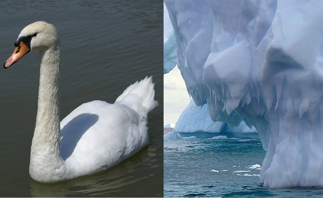 Do your processes and customer experience work together or against each other?