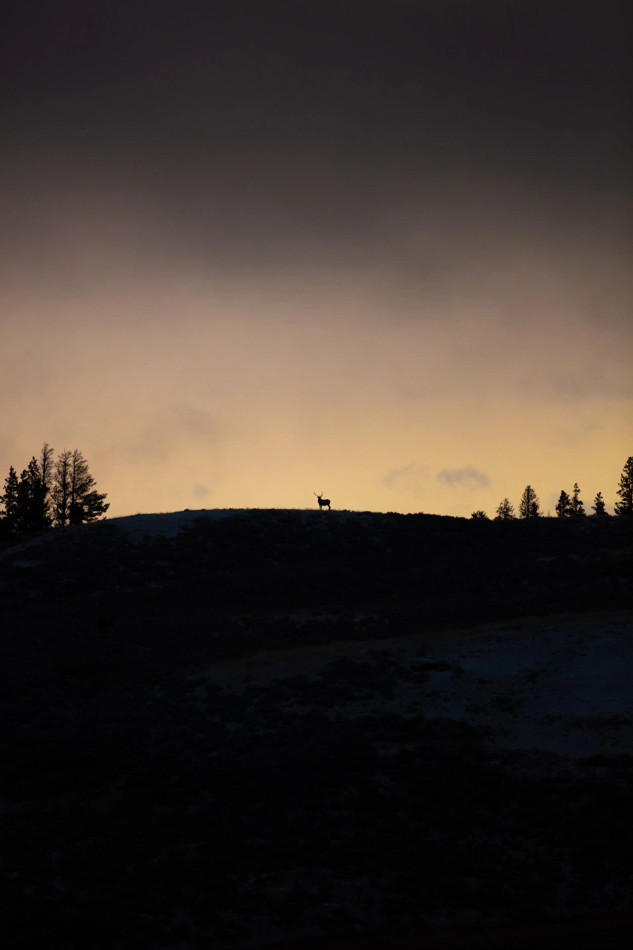 0G8A3230-Enhanced-NR.jpg