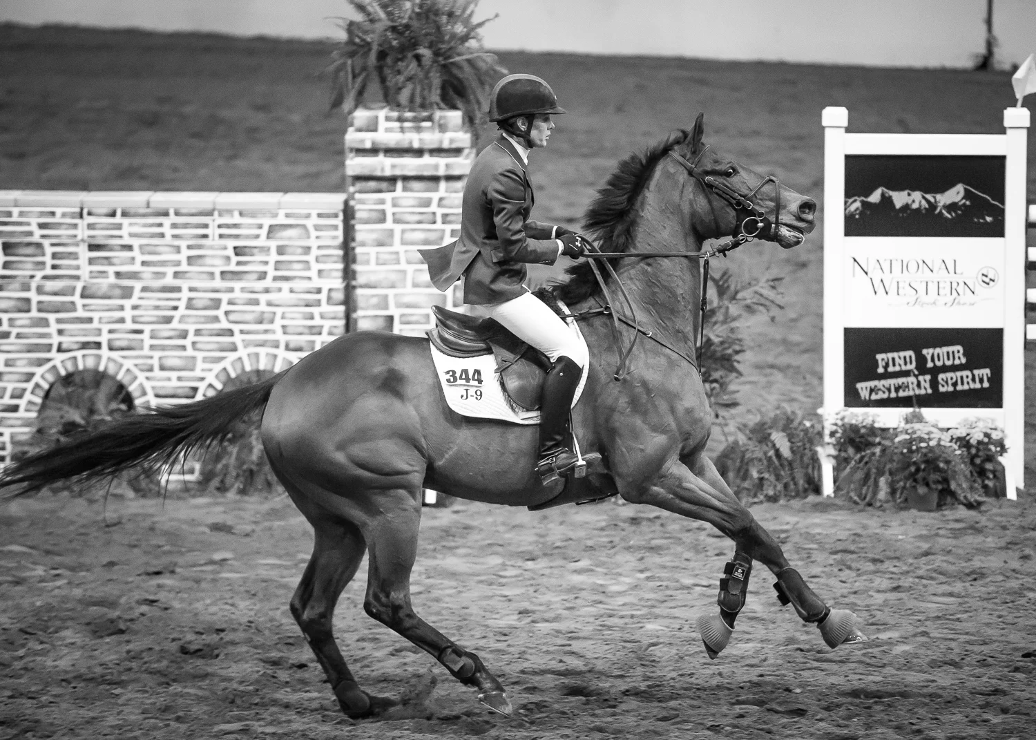 Timberline Portfolio_Medium-109.jpg