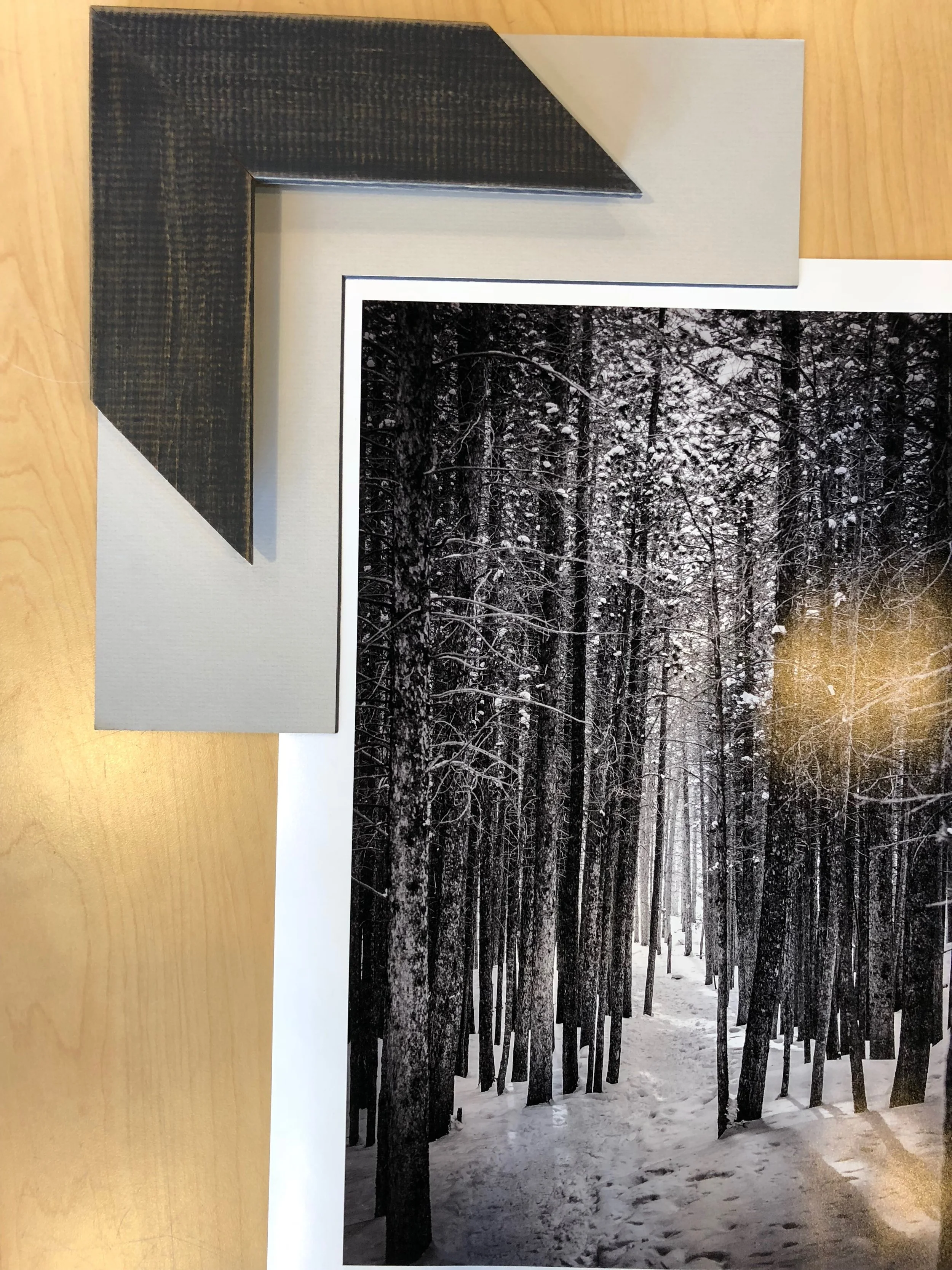 Into the Woods - Frame Options - 2.jpg