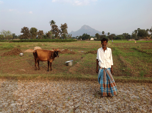 Farming-Life-South-India.gif
