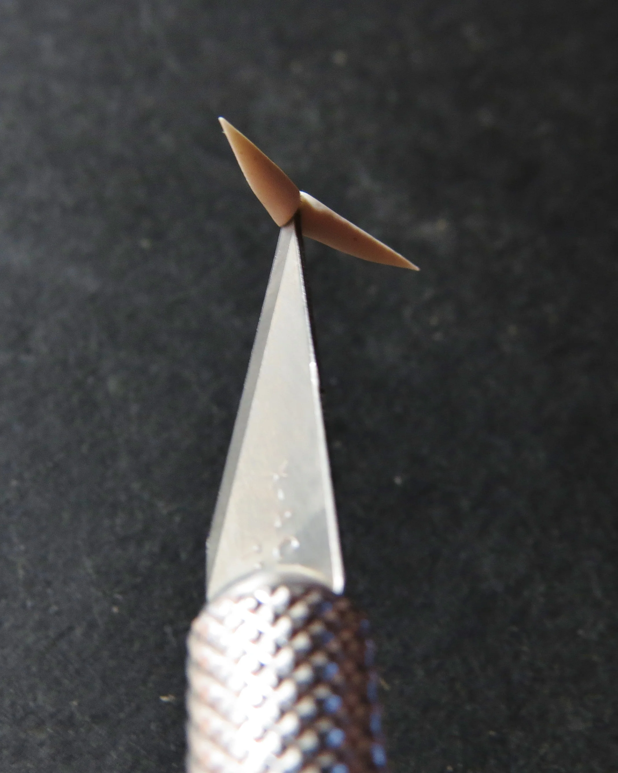 7. A jacana has very straight claws, but let's say I wanted to make curved ones. I would start with the little slug shape like before, but not cut it all the way through....