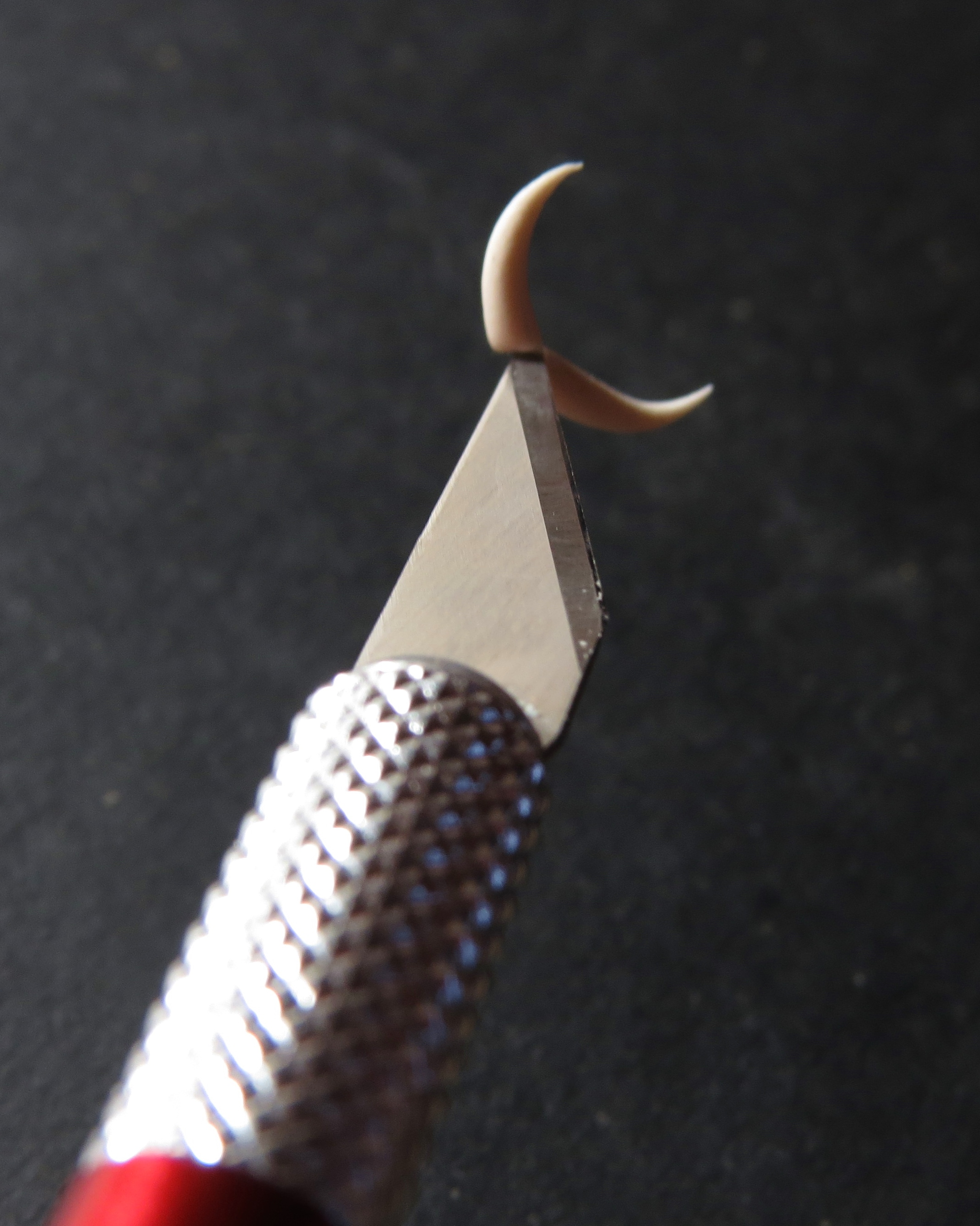 8. Instead, leave them a little attached to each other. The claws want to stick to the X-ACTO blade, so let them. Stroke the claws gently to work a curve into them. Try to do this symmetrically.