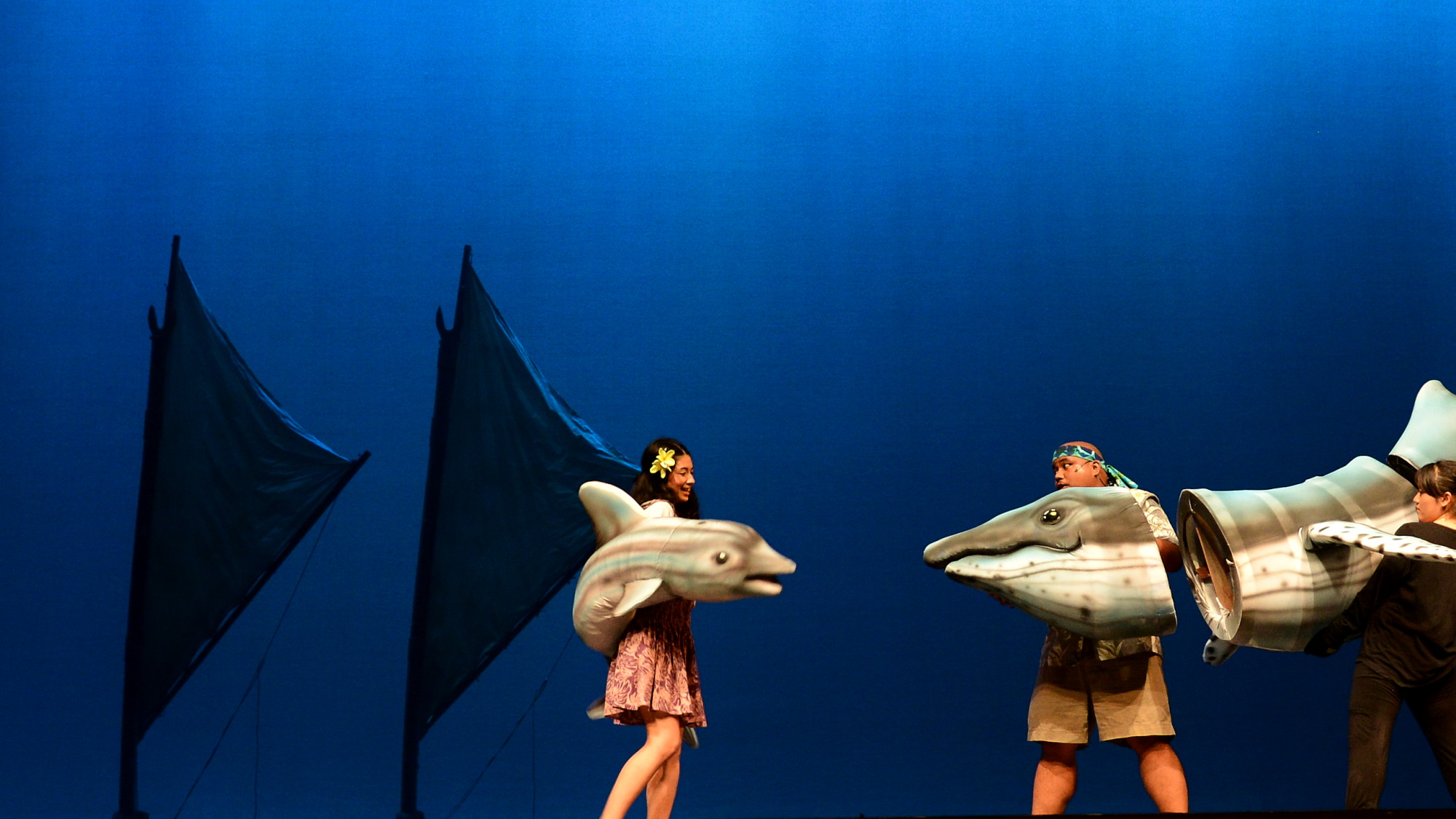 EWG, Dolphin 'n Whale - 5.jpg