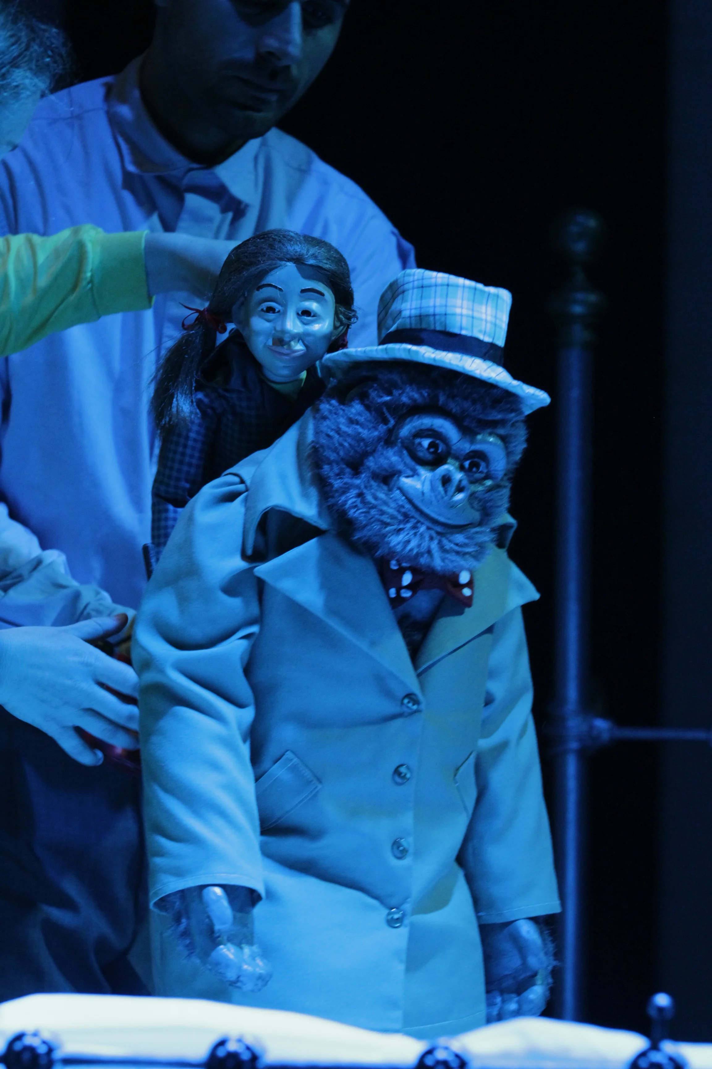 Gorilla Shoot-through Cast A (46).JPG