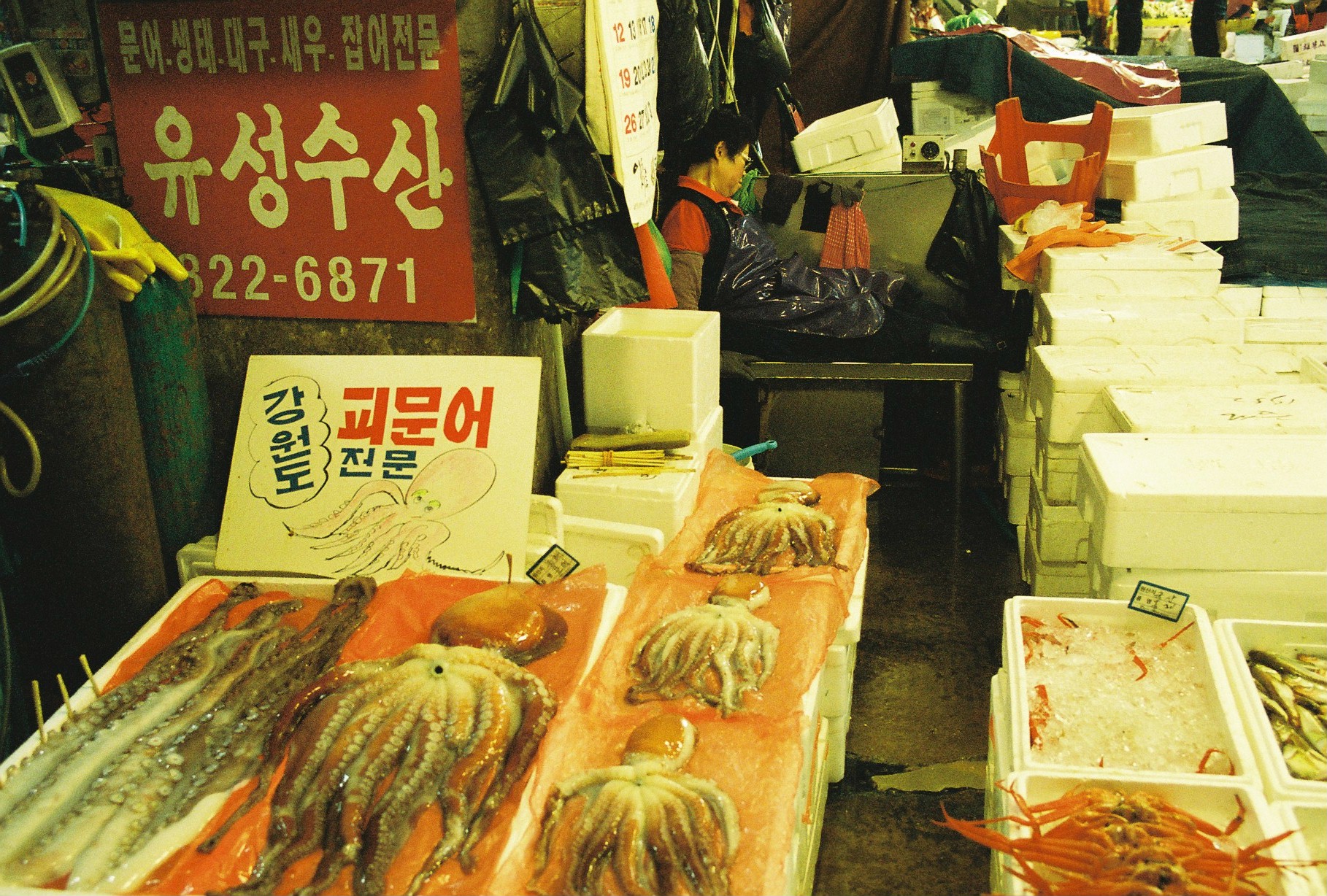  Noryangjin Fish Market - Seoul, Korea 2015 