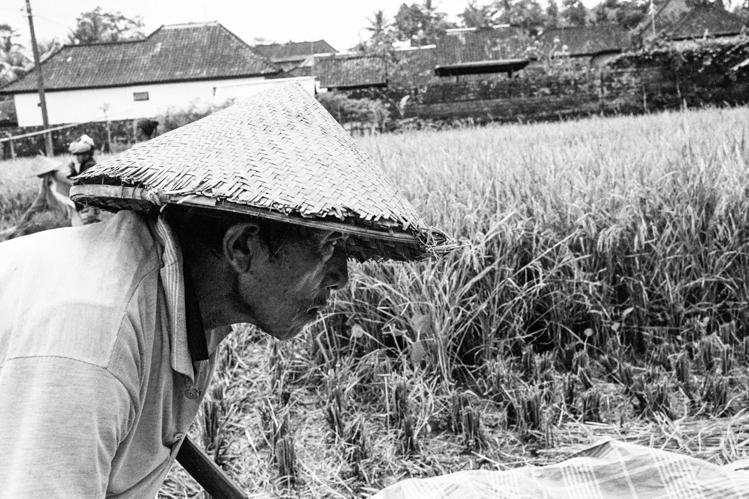 Ubud, Bali 2017