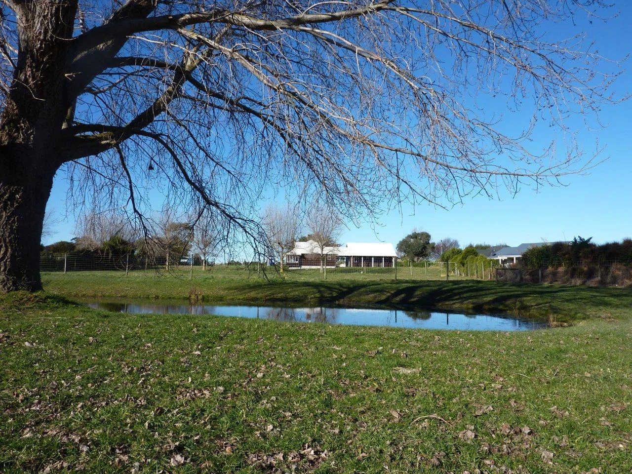Kaikoura 08-11 Pond.jpg
