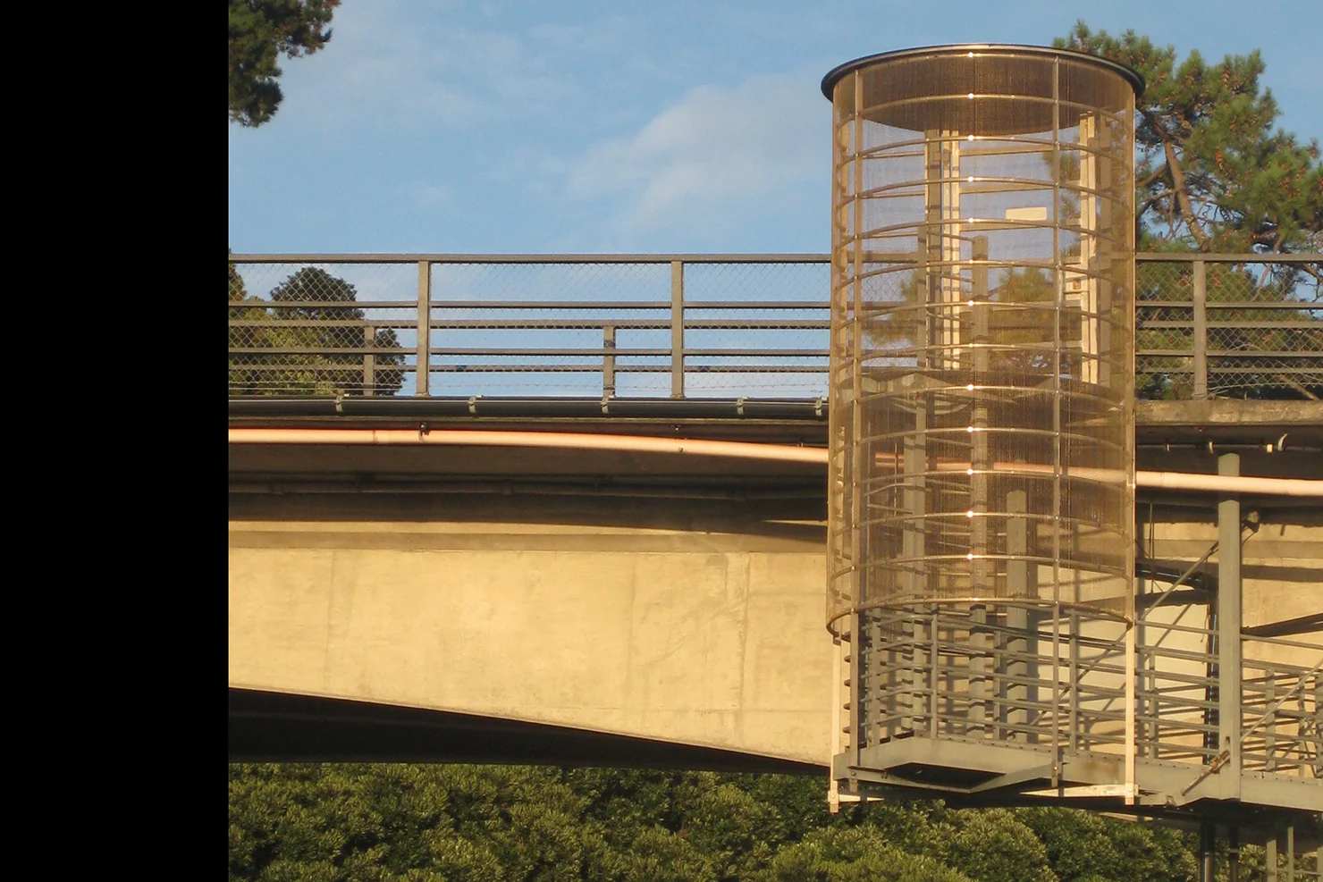 IMG_5428 50%crop.jpg