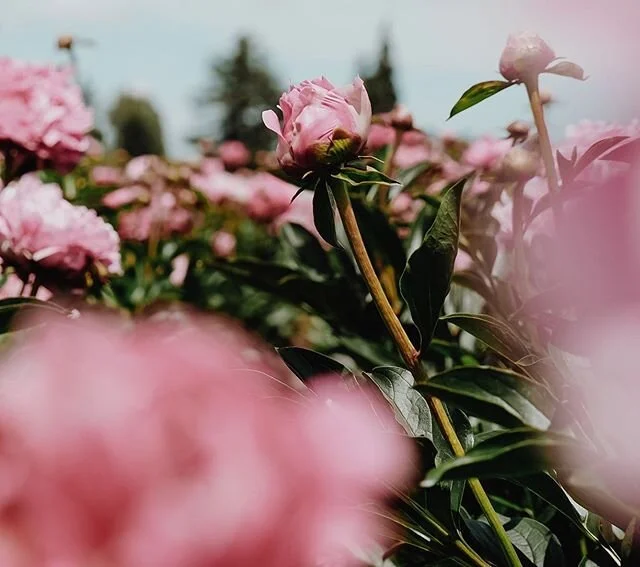 Thankful for a week of listening &amp; learning with some amazing scenery and beautiful people.