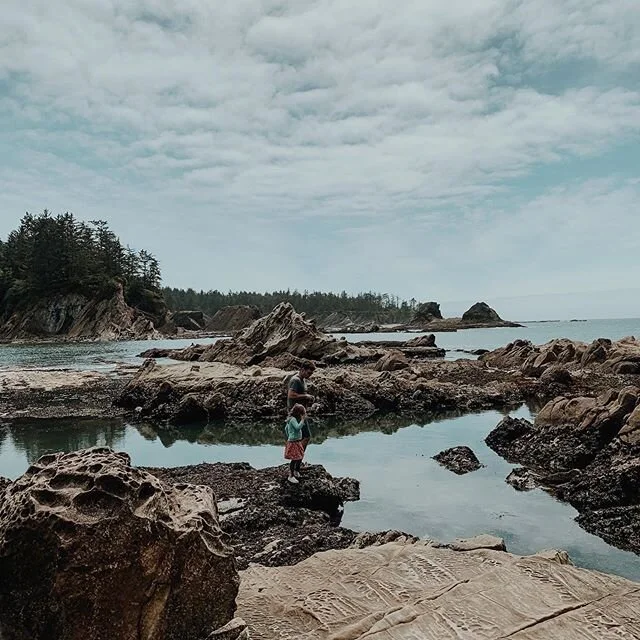 Peeping&rsquo; tide pools (because clamming left 3 out 4 of us grossed out and complaining).
