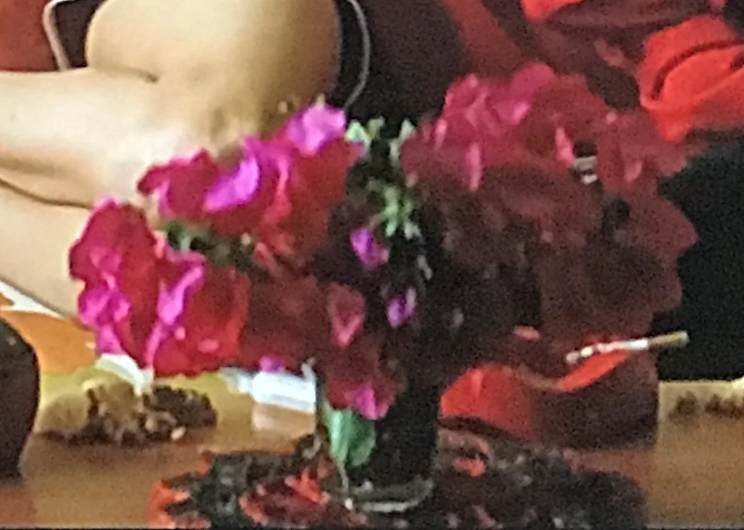 FullSizeRender 3.jpg