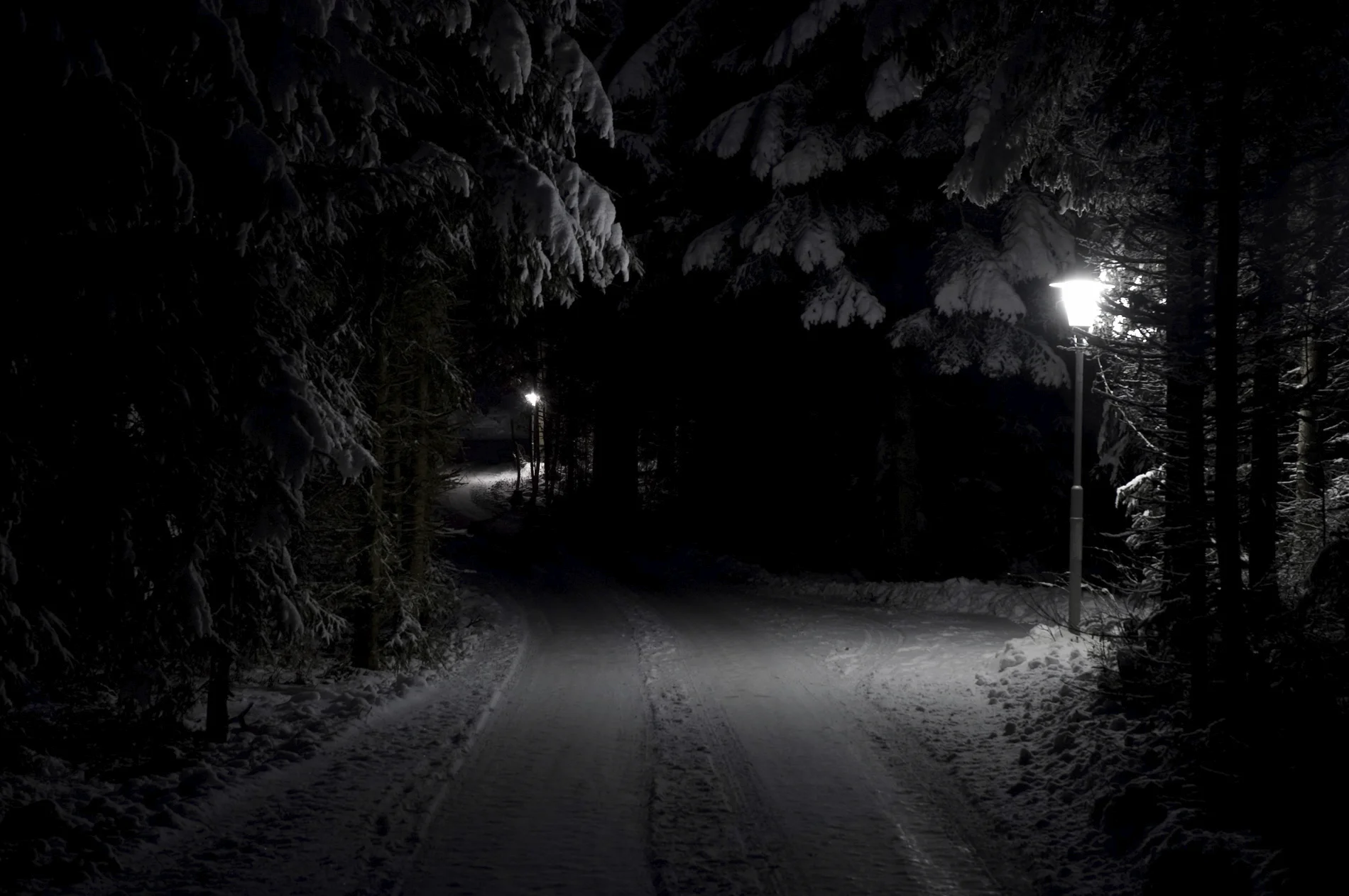 snow-angels2.jpg