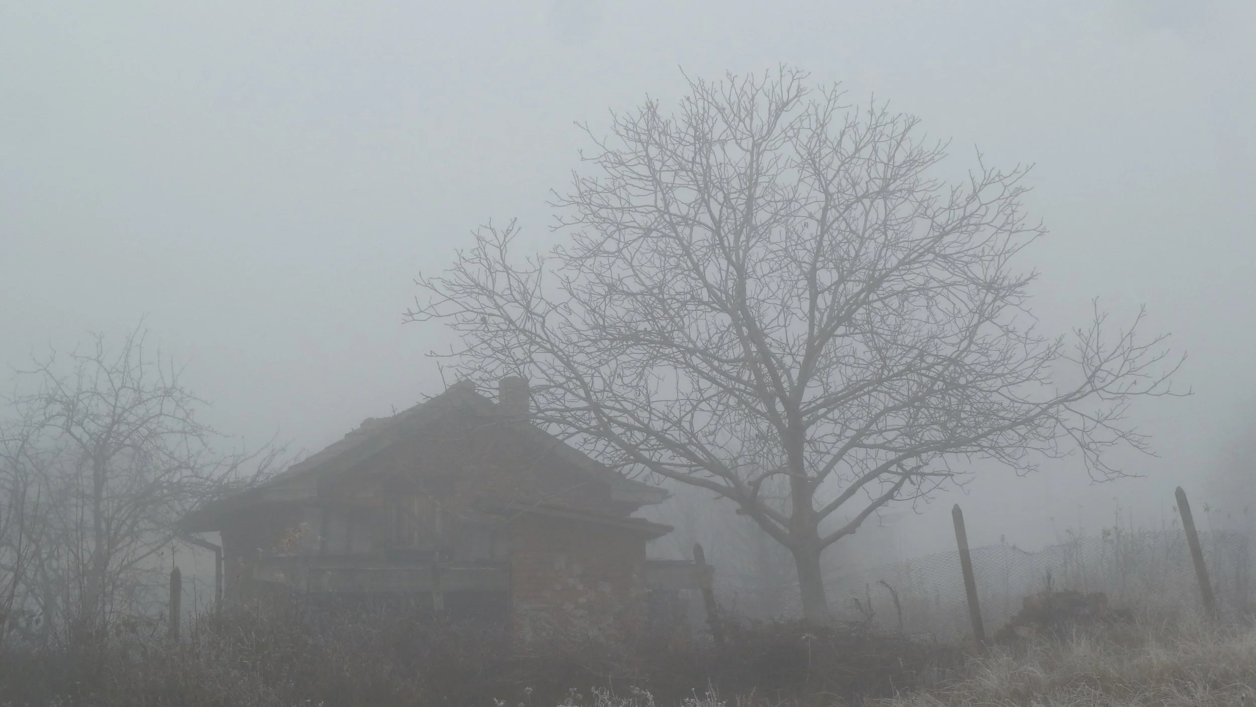 snowHouse.jpg