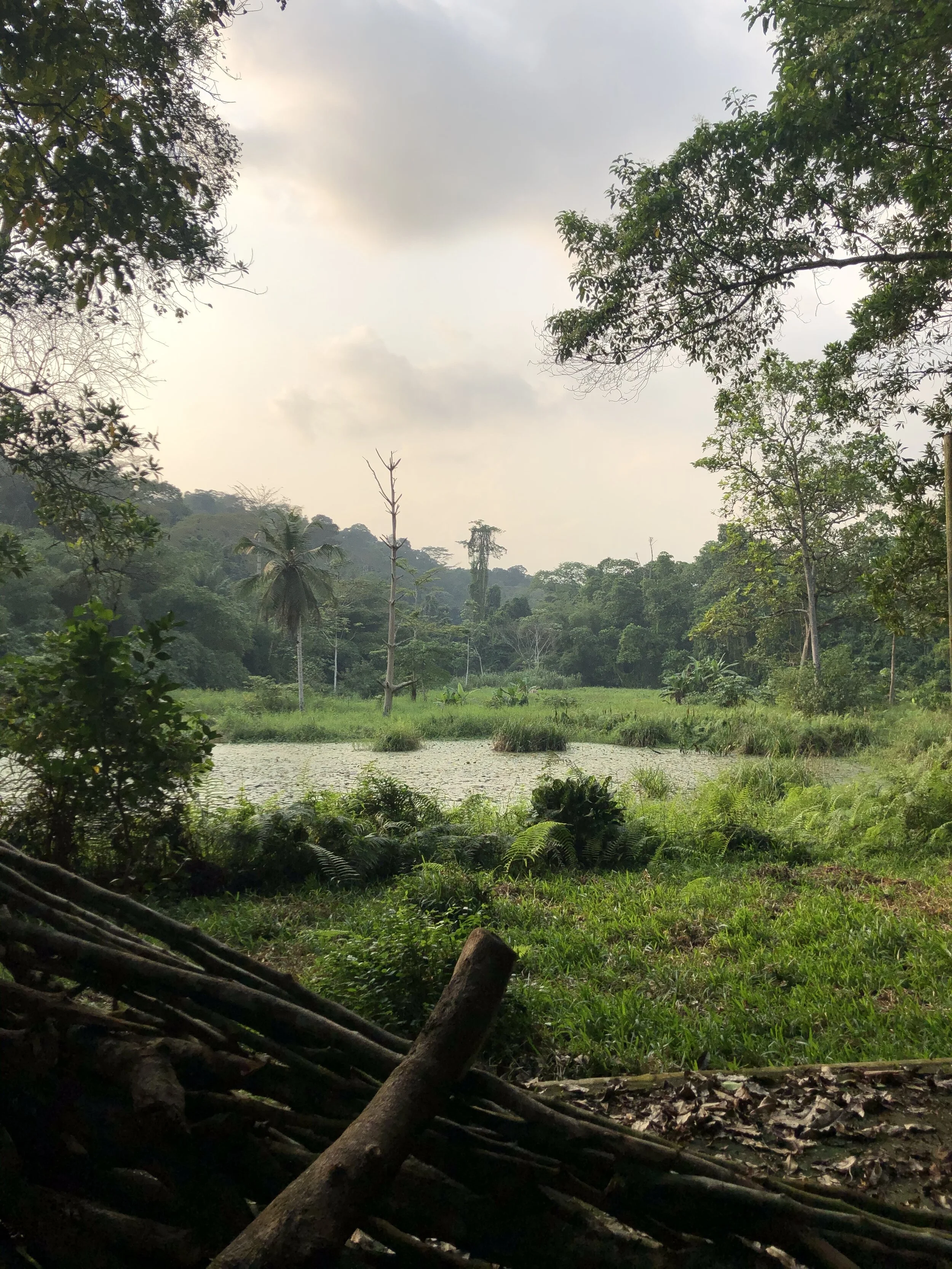 World Tourism Day 2020: Tourism and rural development