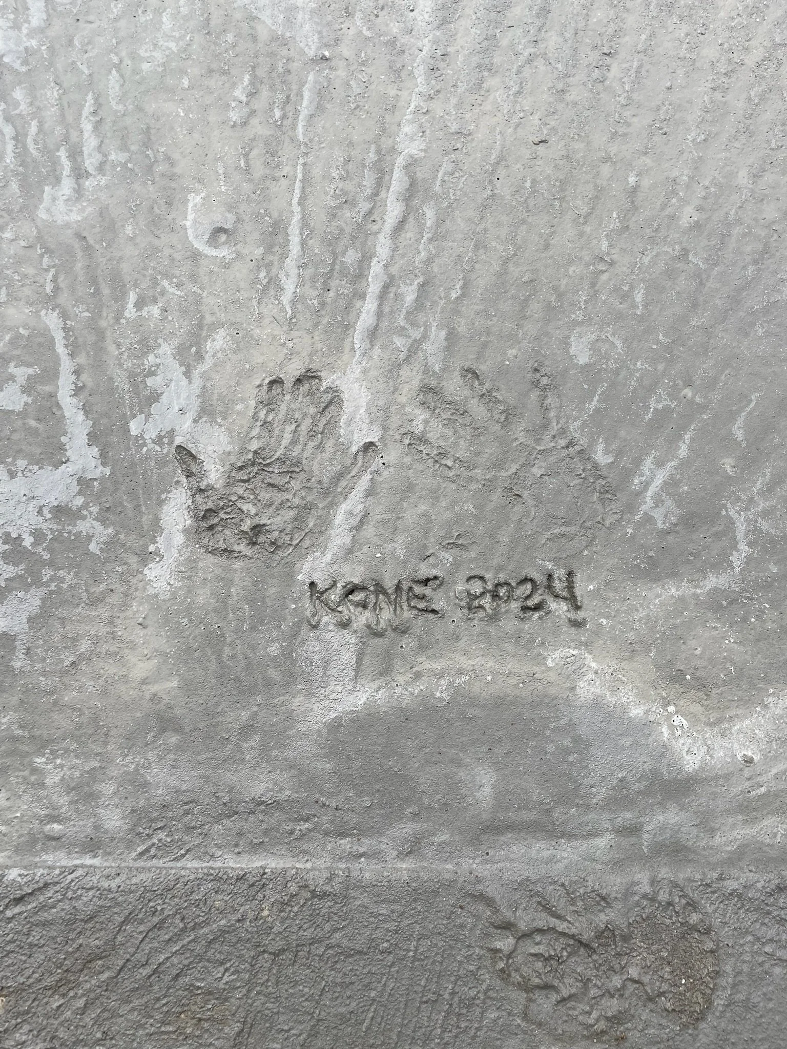 Where is Alicia? Letter from Our President and Owner