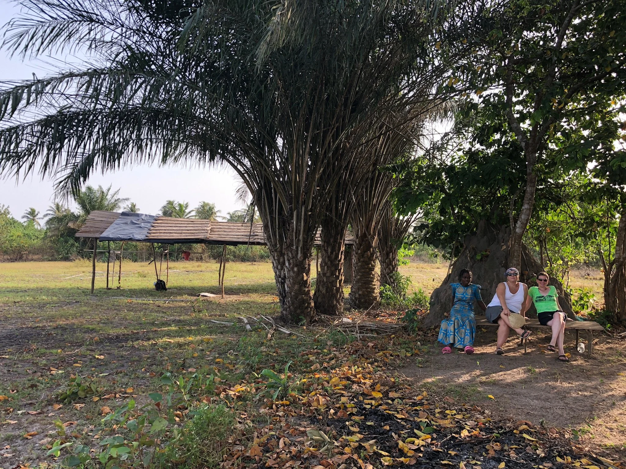 Côte d'Ivoire Tour Informational Webinar