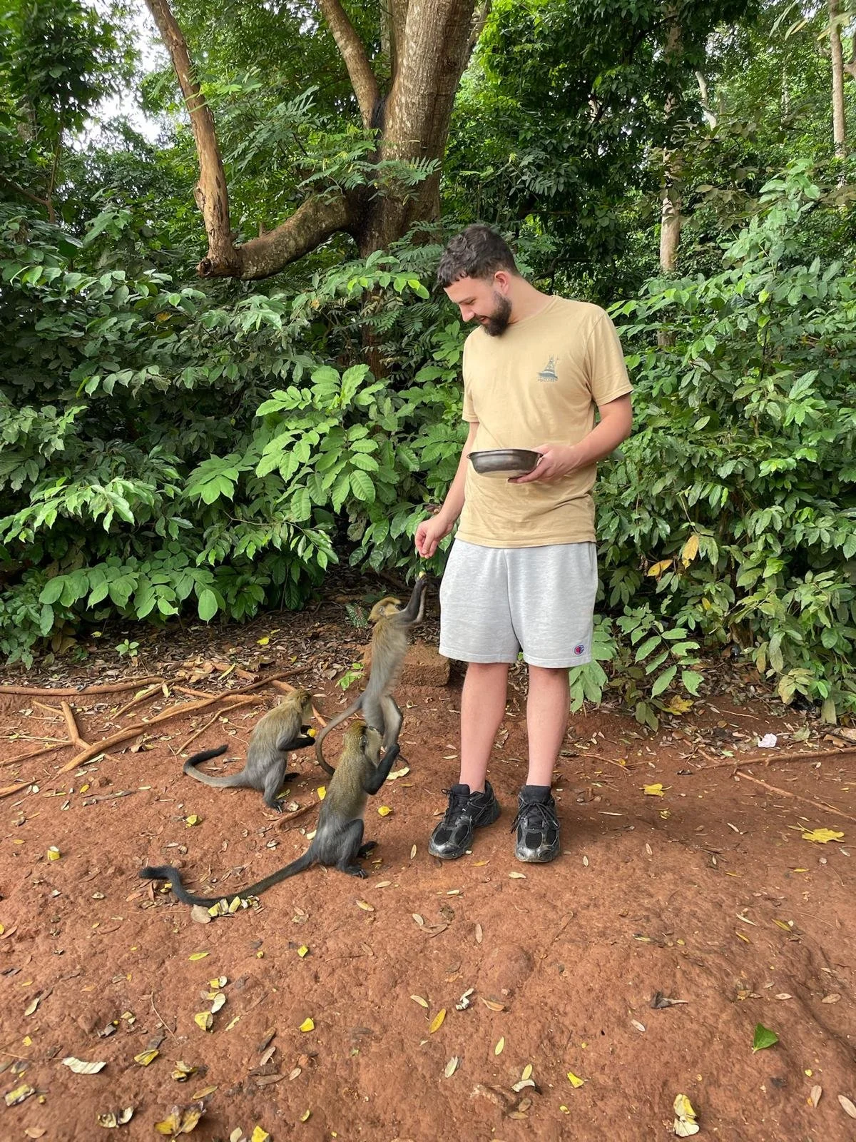 ICYMI - Our 2027 Côte d'Ivoire Trip Itinerary, Pricing, and Registration are now available!