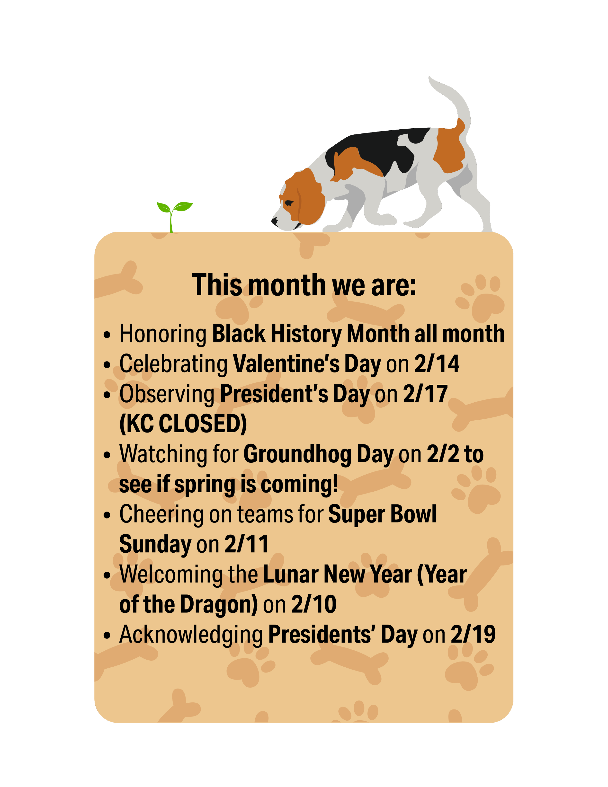 February Odie Announcement — Koné Consulting