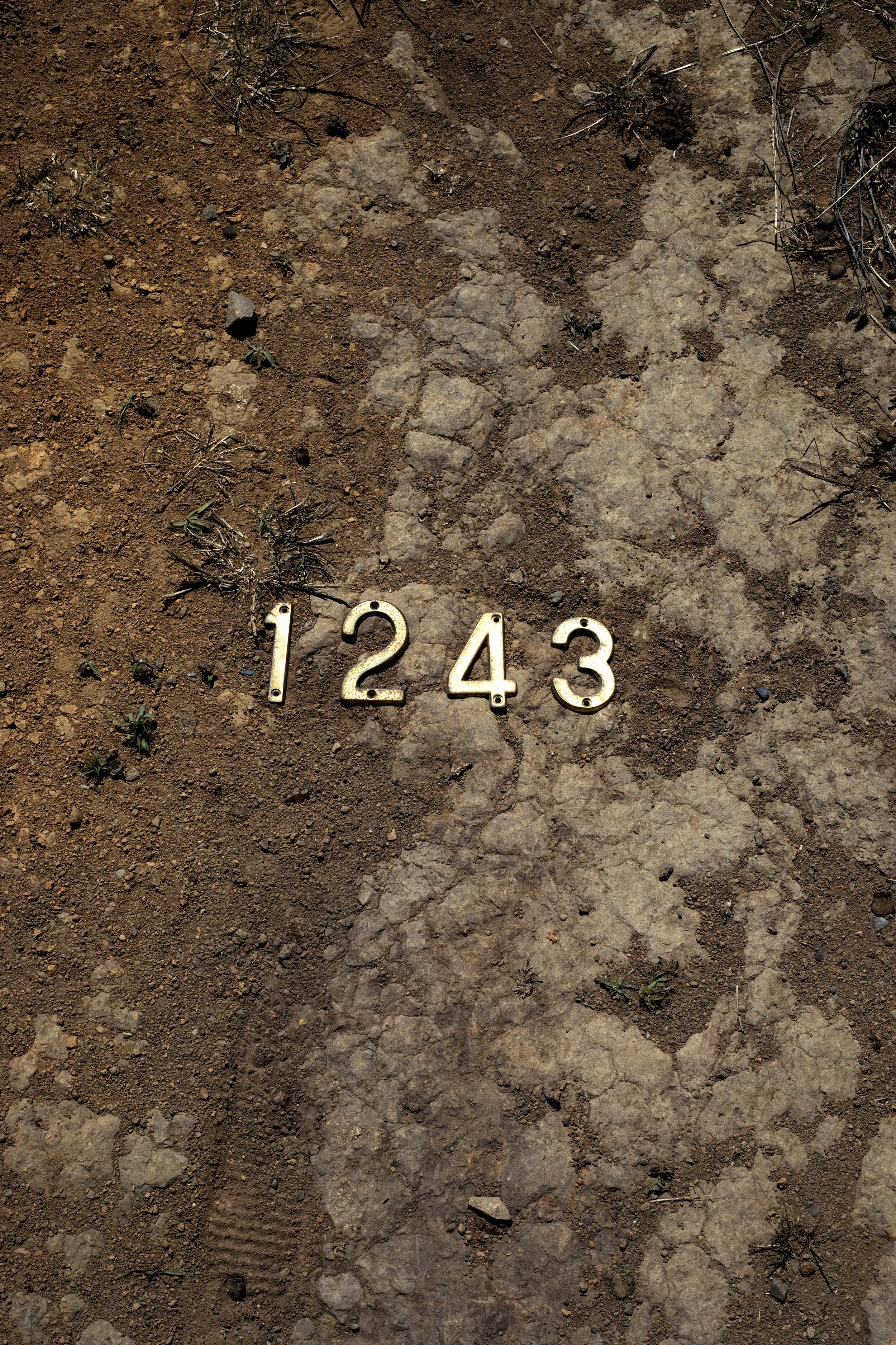 1243.jpg