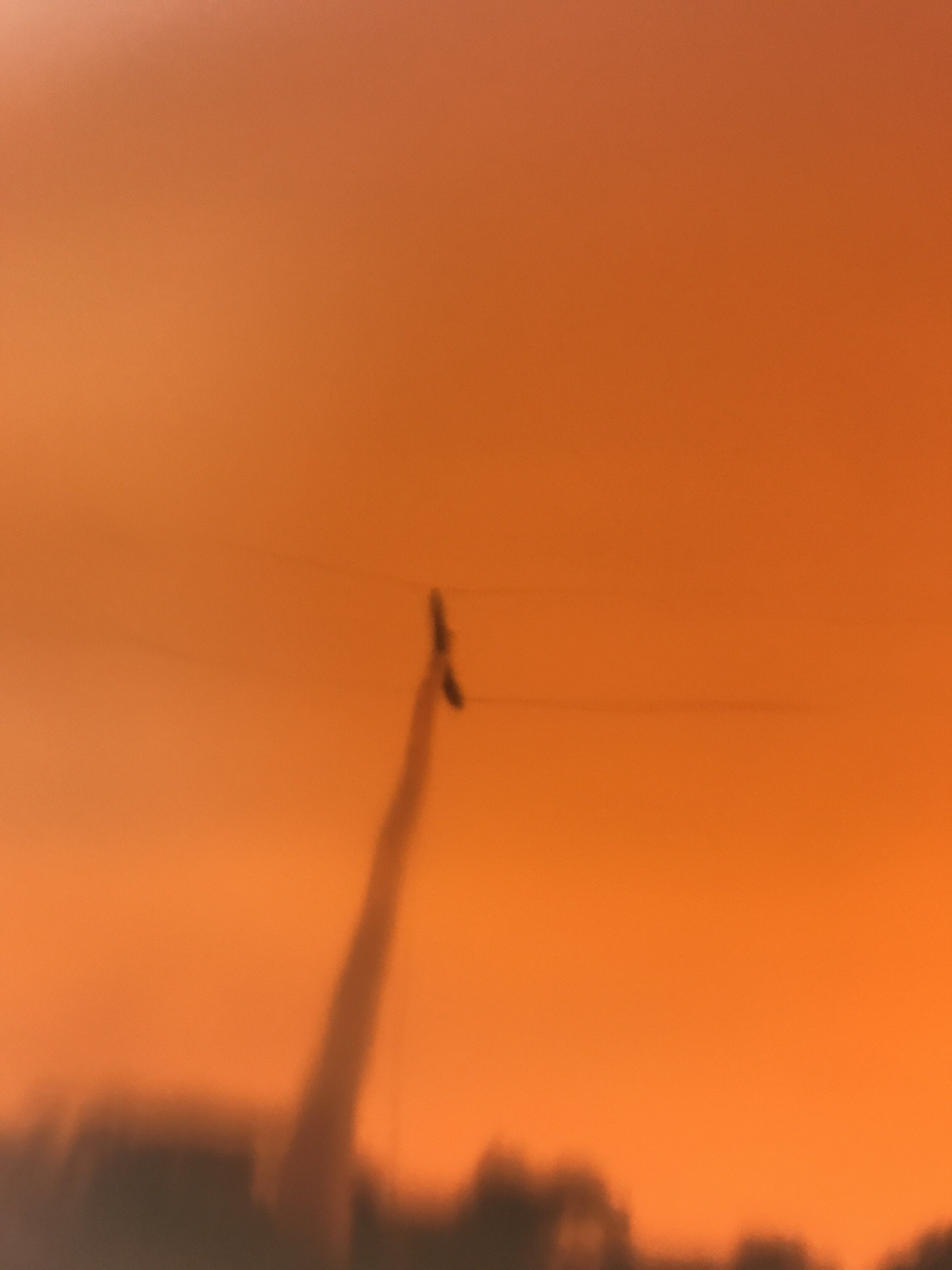 IMG_6851.jpeg