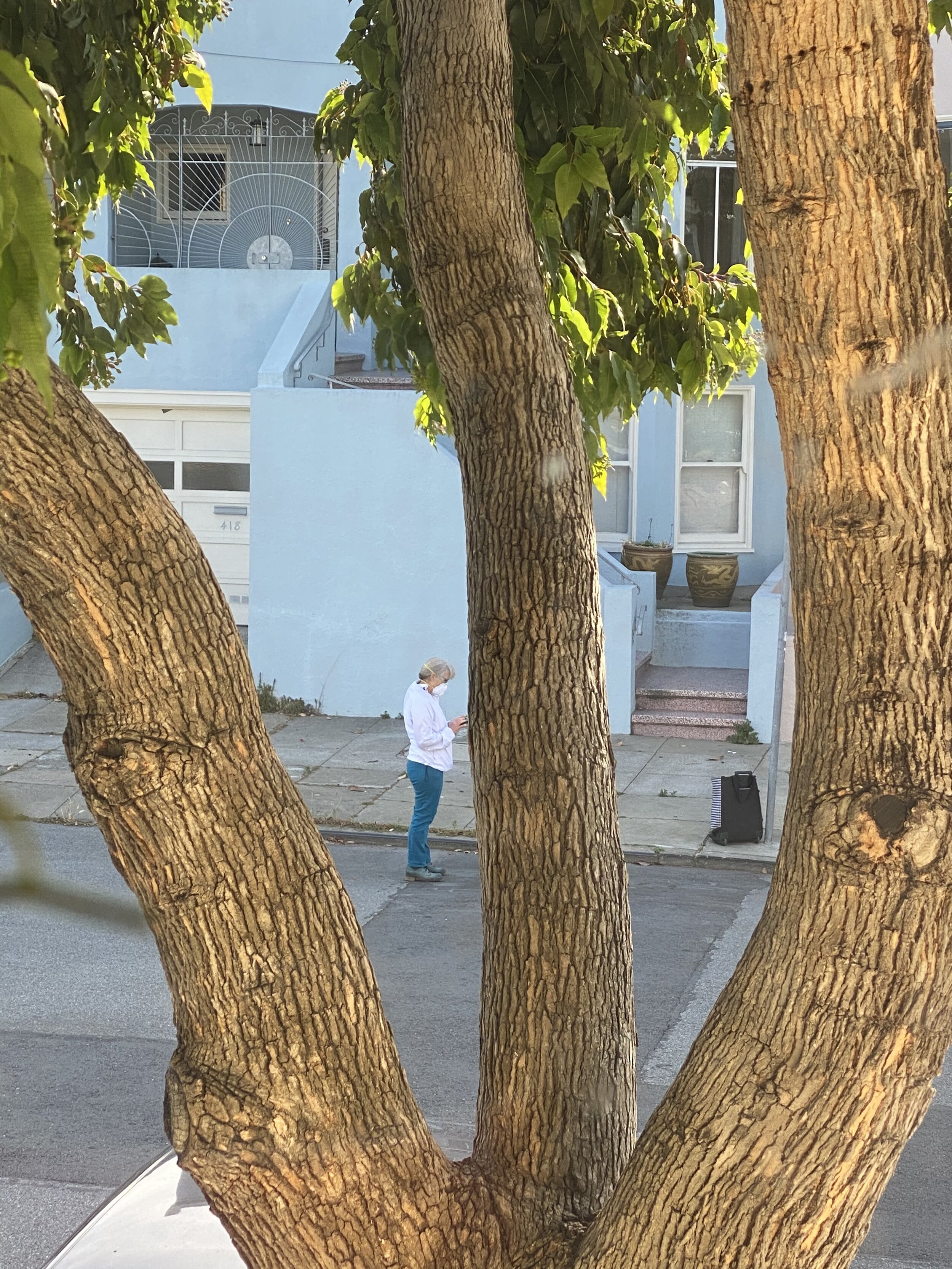 IMG_7268.jpeg