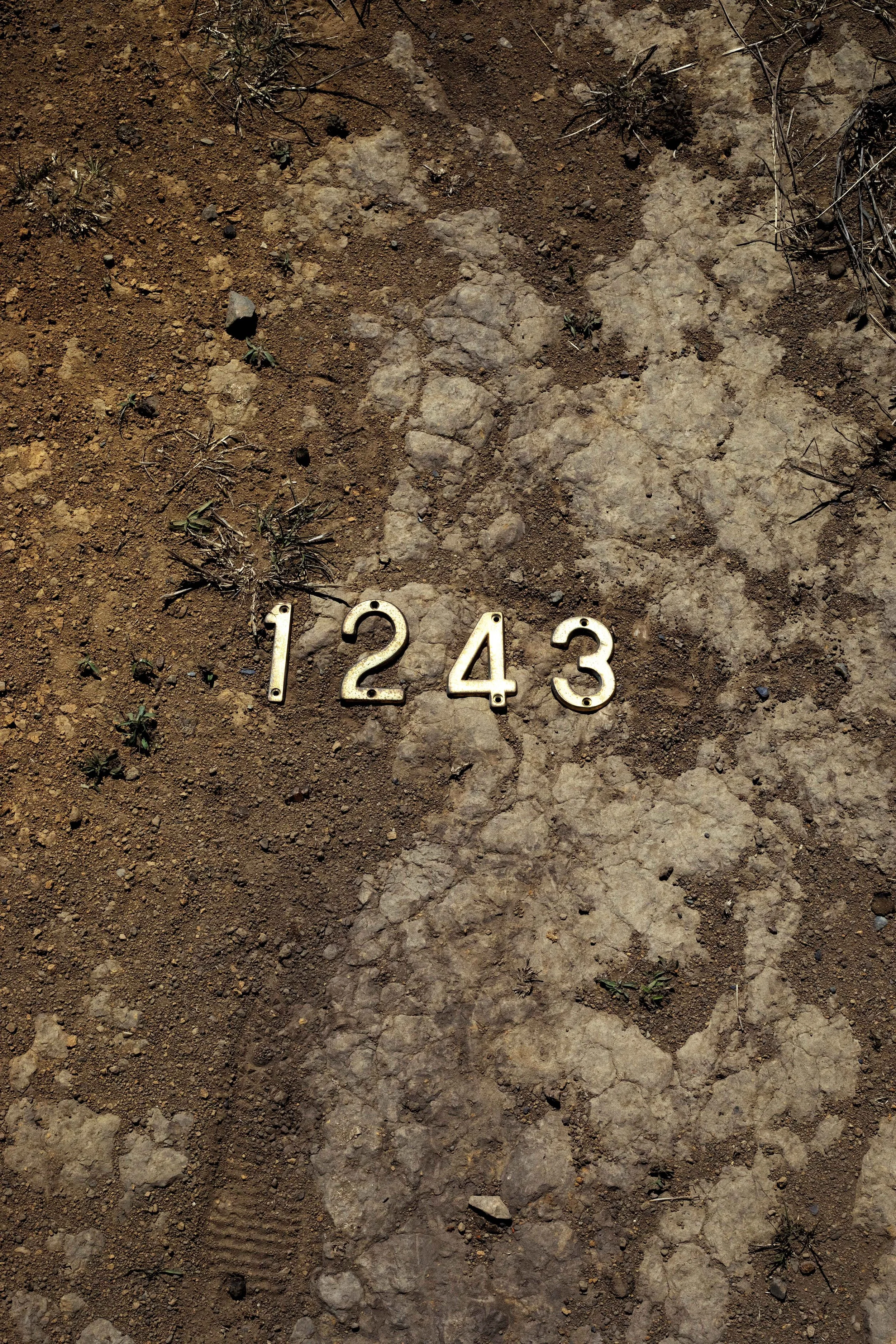 Emmy_Hicks-Jablons_2 (1).jpg