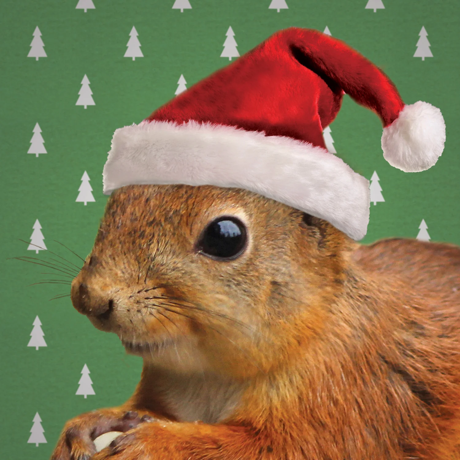 I Just Believe in Christmas