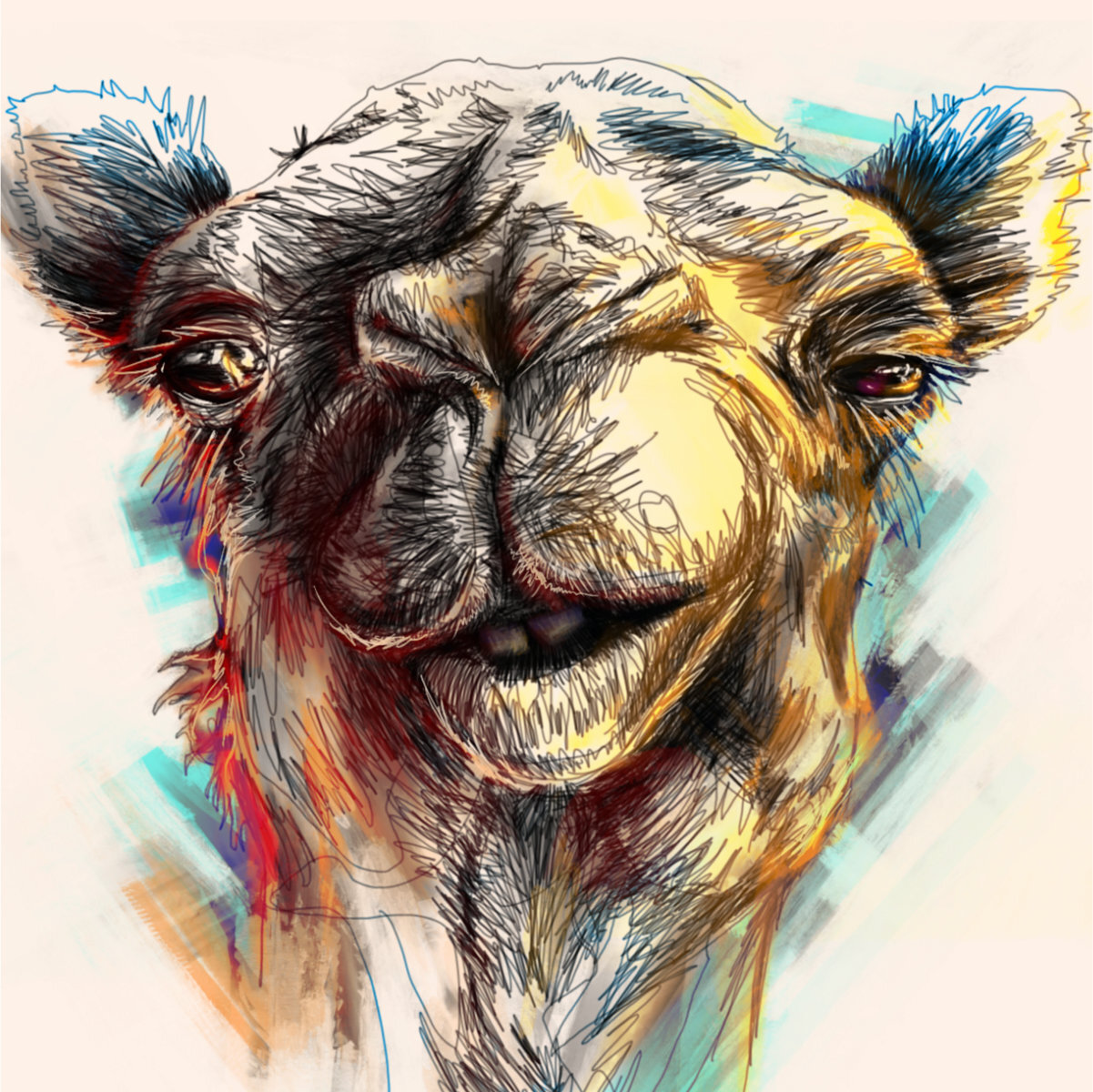 Animal Expressions