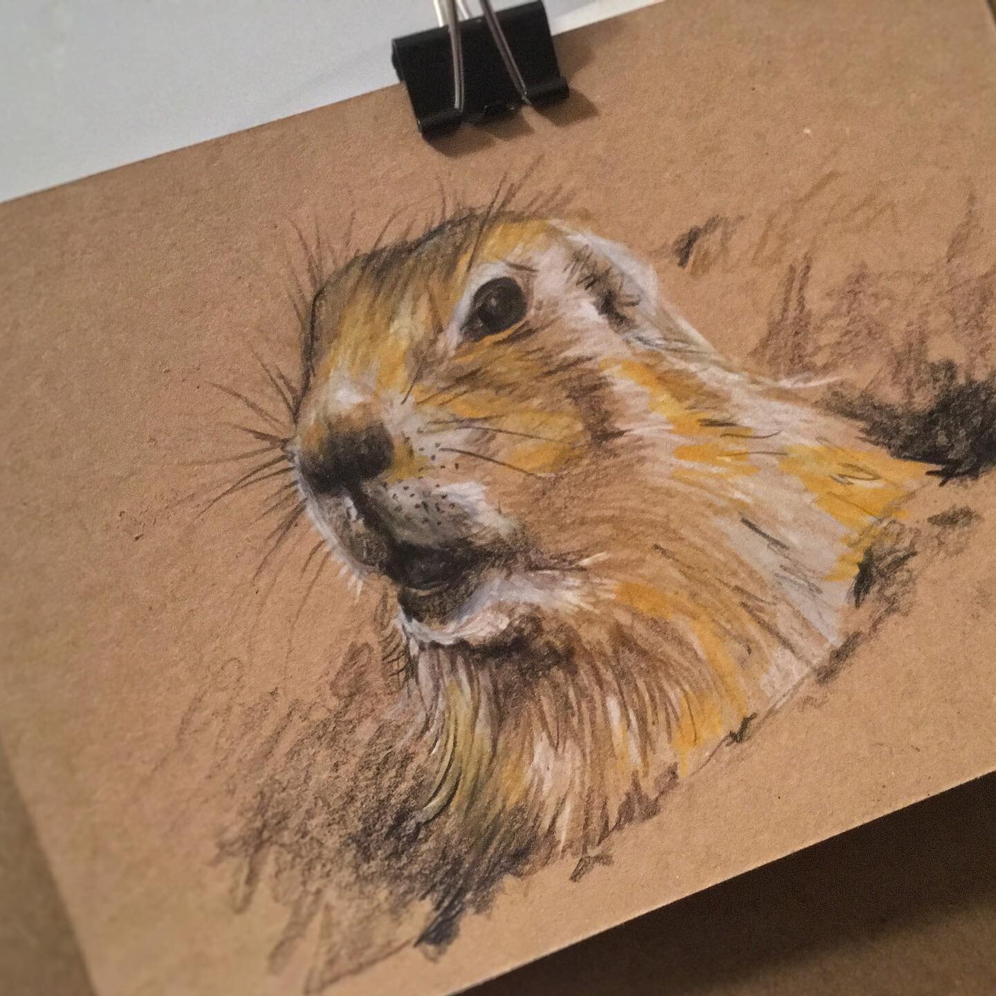 lockdown outlook ;)
.
postcard sketch
.
.
.
.
.
#animal #sketch #watercolor #color #pencil #artwork #commision #art #funny #look #lockdown #2021 #by_manue #maliArtworks