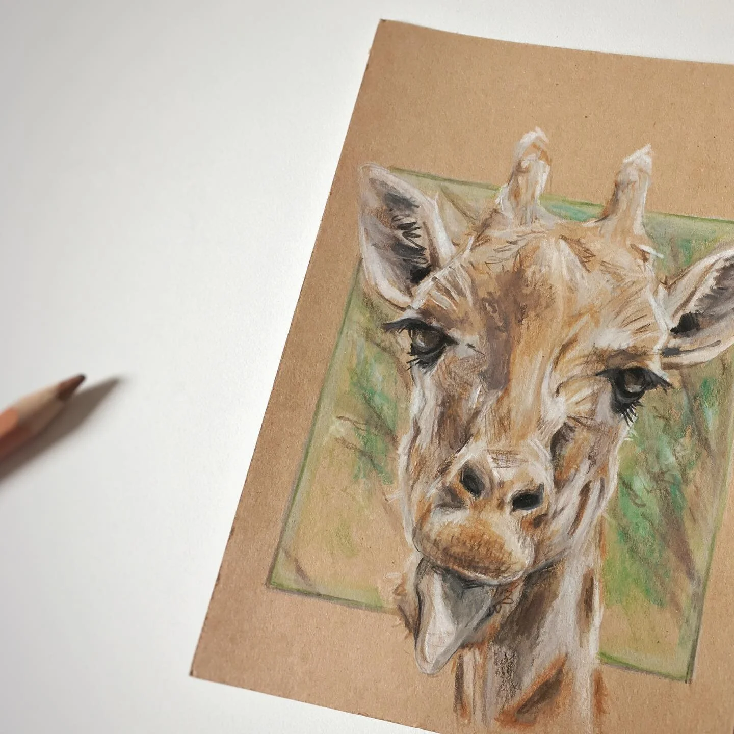 my first postcard sketch. it&lsquo;ll be a little gift for a friend
.
.
.
.
.
#postcard #artwork #giraffe #tongue #out #painting #sketch #draw #sketching #art #post #animal #friendship #2021 #colore #pencil #special #gift #by_manue #maliartworks